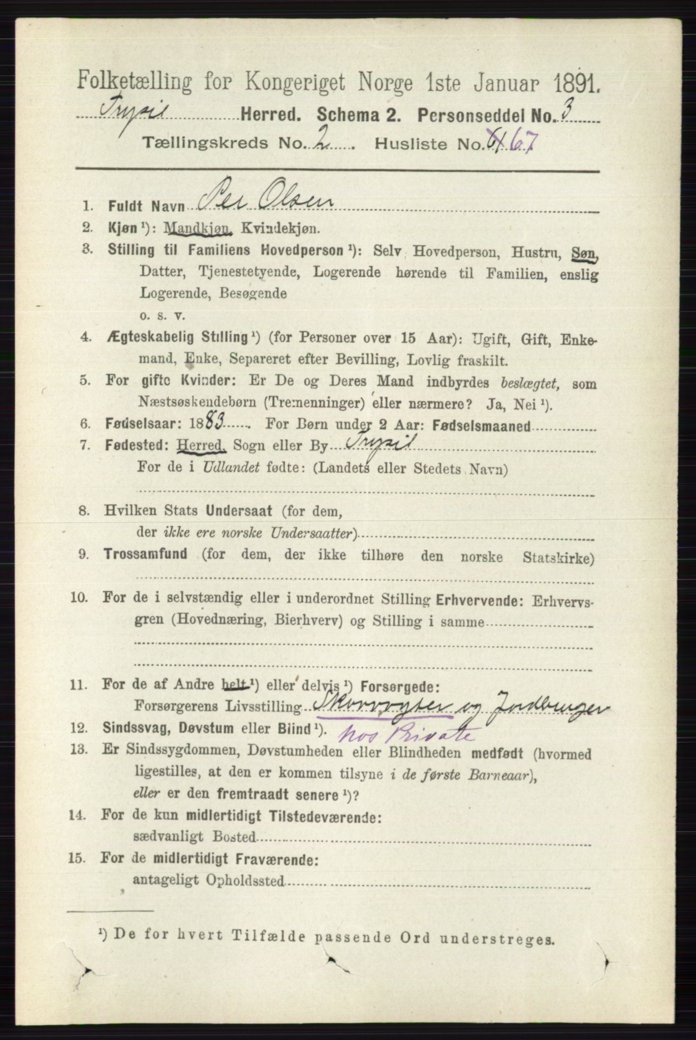 RA, 1891 census for 0428 Trysil, 1891, p. 1266