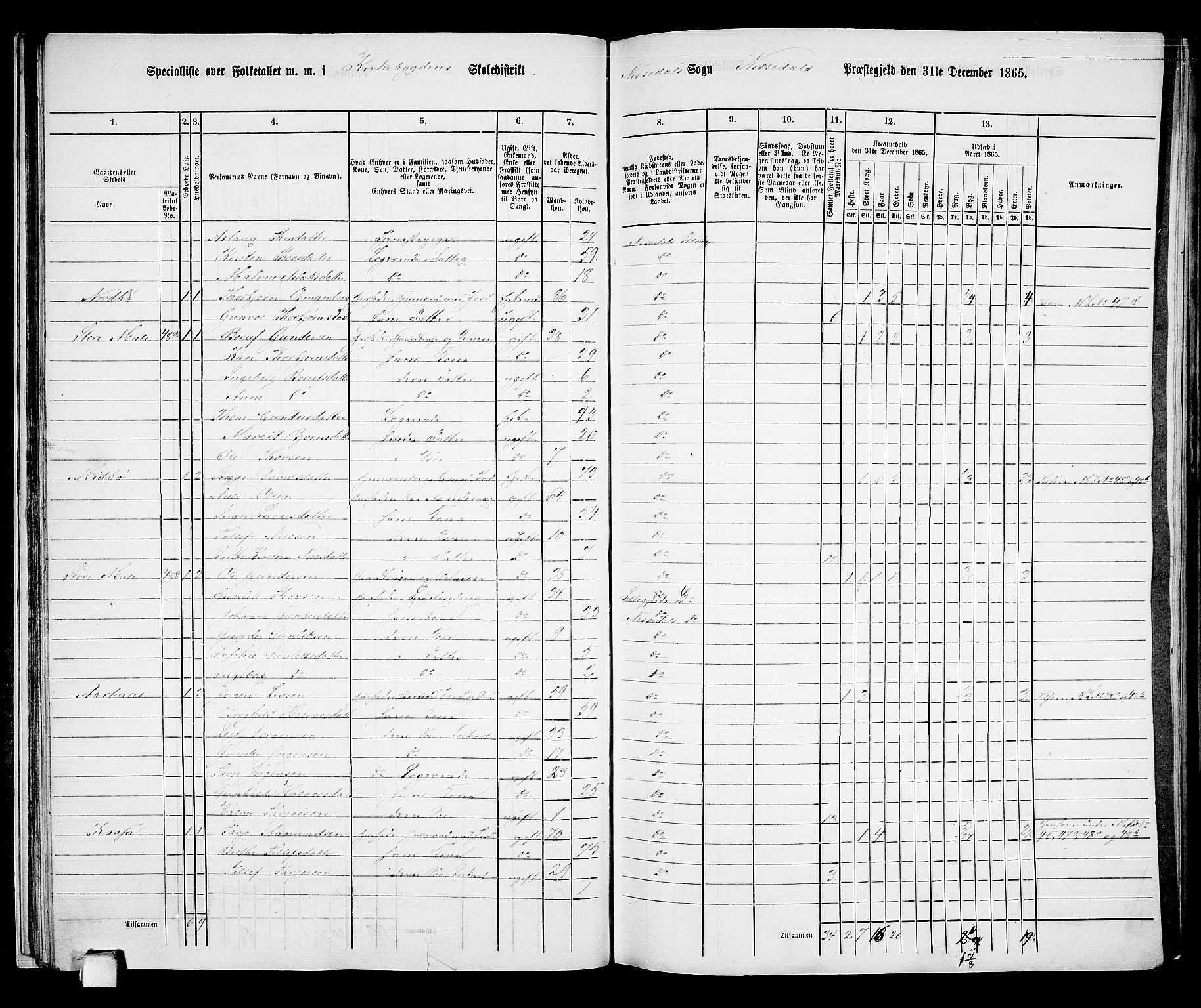 RA, 1865 census for Nissedal, 1865, p. 31