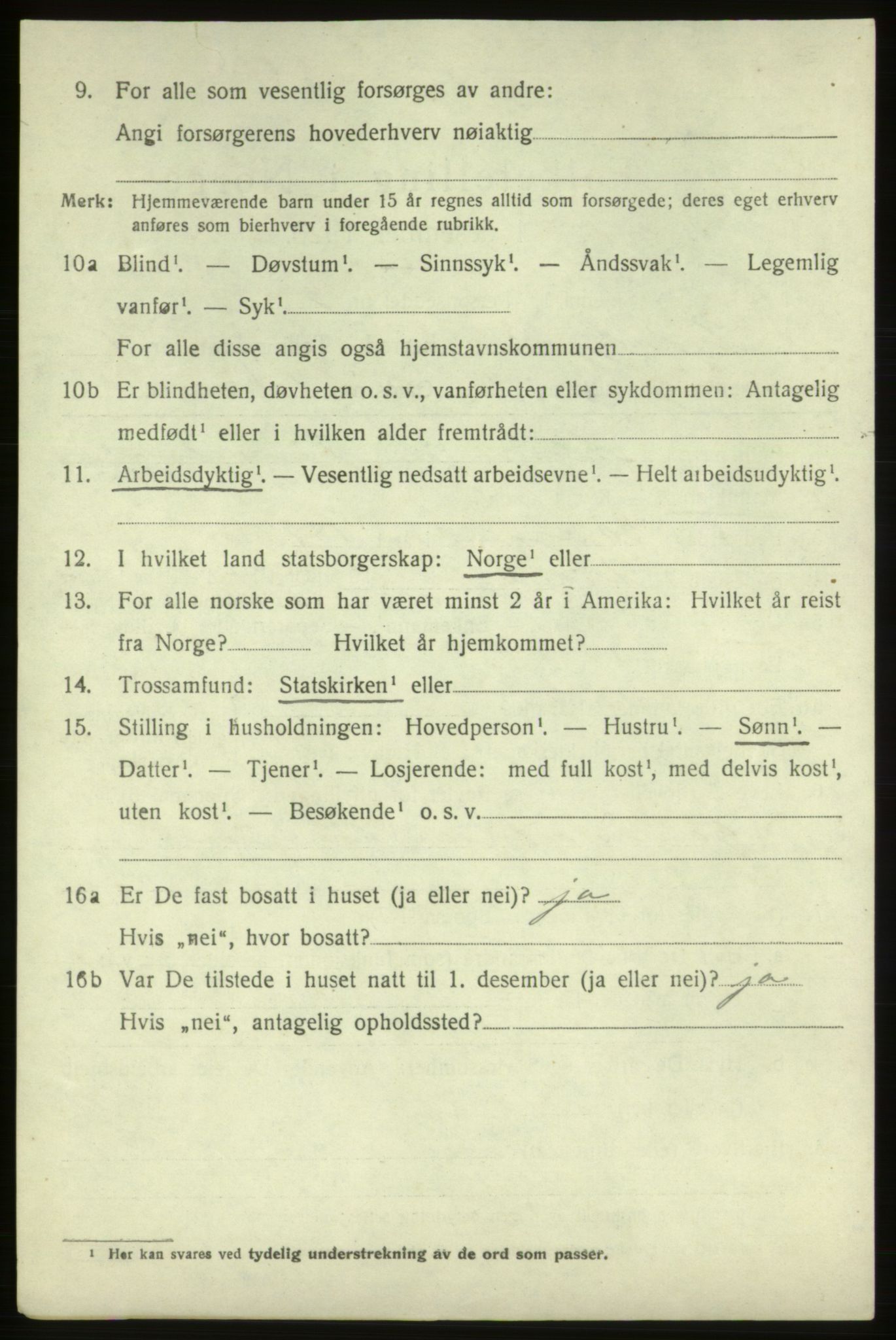 SAB, 1920 census for Vikebygd, 1920, p. 528