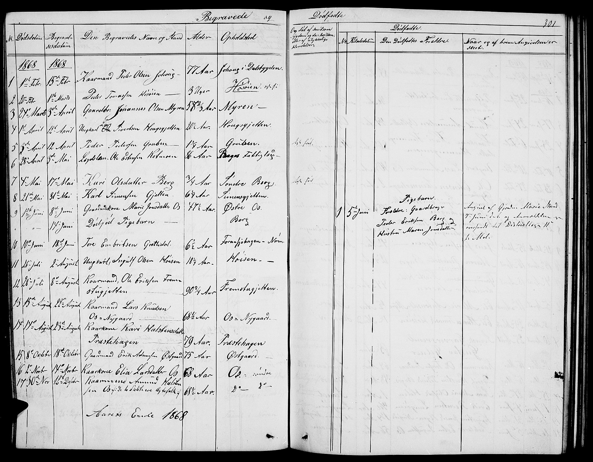 Tolga prestekontor, SAH/PREST-062/L/L0004: Parish register (copy) no. 4, 1845-1887, p. 301