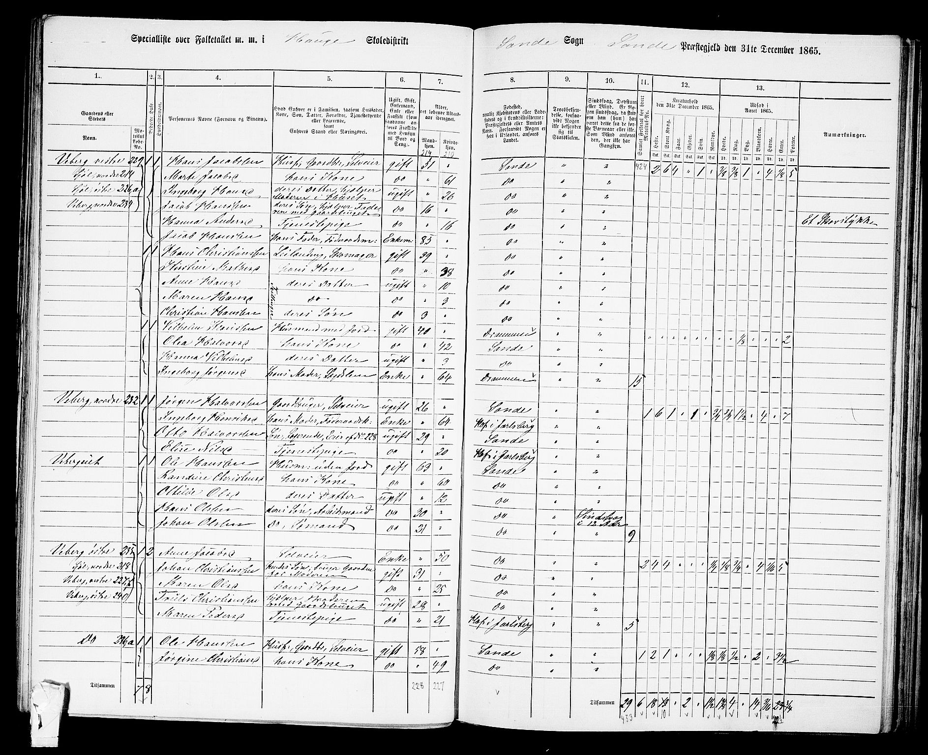 RA, 1865 census for Sande, 1865, p. 49