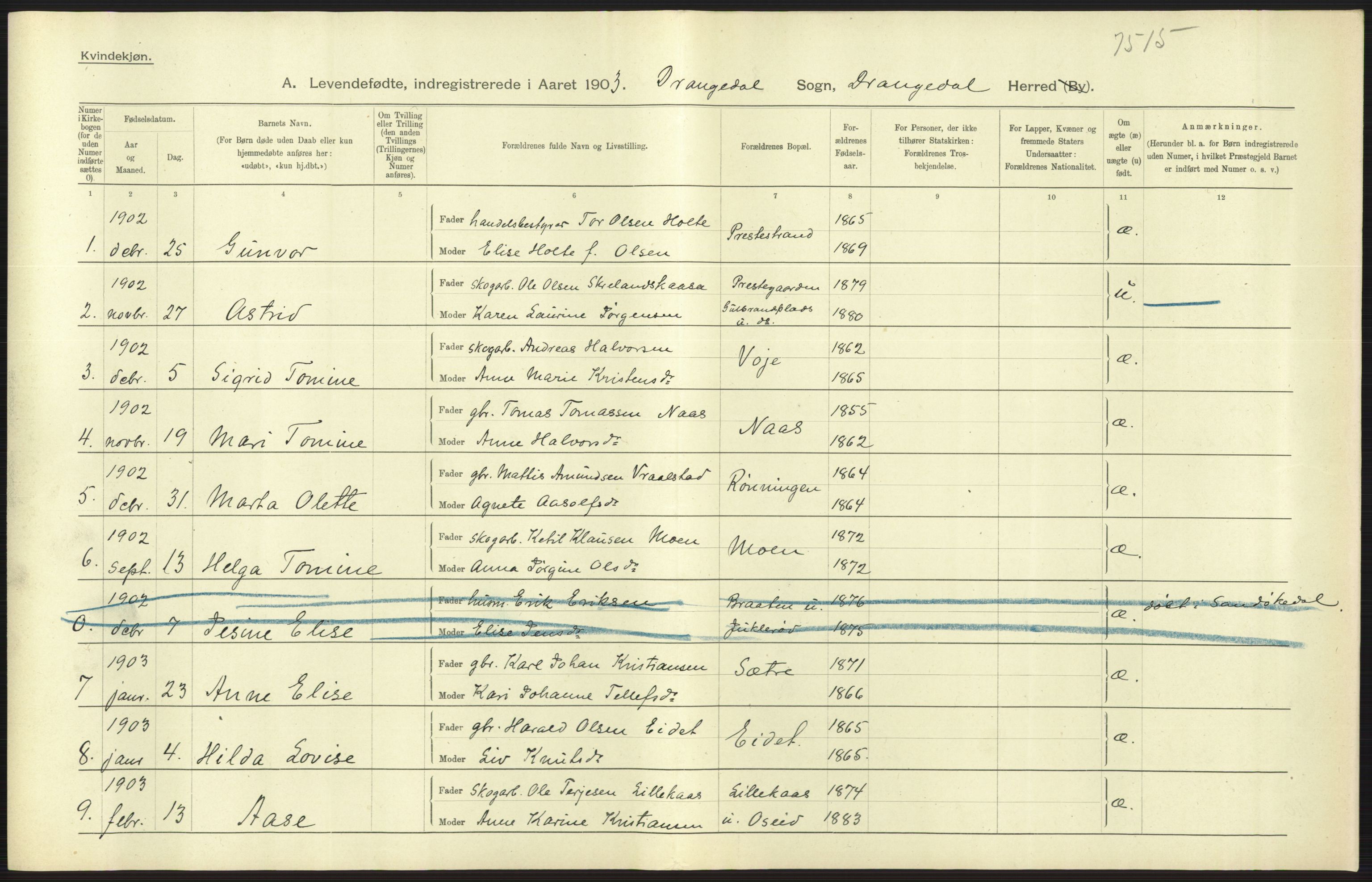 Statistisk sentralbyrå, Sosiodemografiske emner, Befolkning, AV/RA-S-2228/D/Df/Dfa/Dfaa/L0009: Bratsberg amt: Fødte, gifte, døde, 1903, p. 265