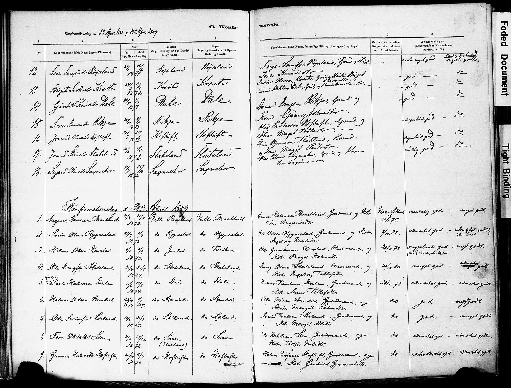 Valle sokneprestkontor, AV/SAK-1111-0044/F/Fa/Fac/L0009: Parish register (official) no. A 9, 1882-1913, p. 127