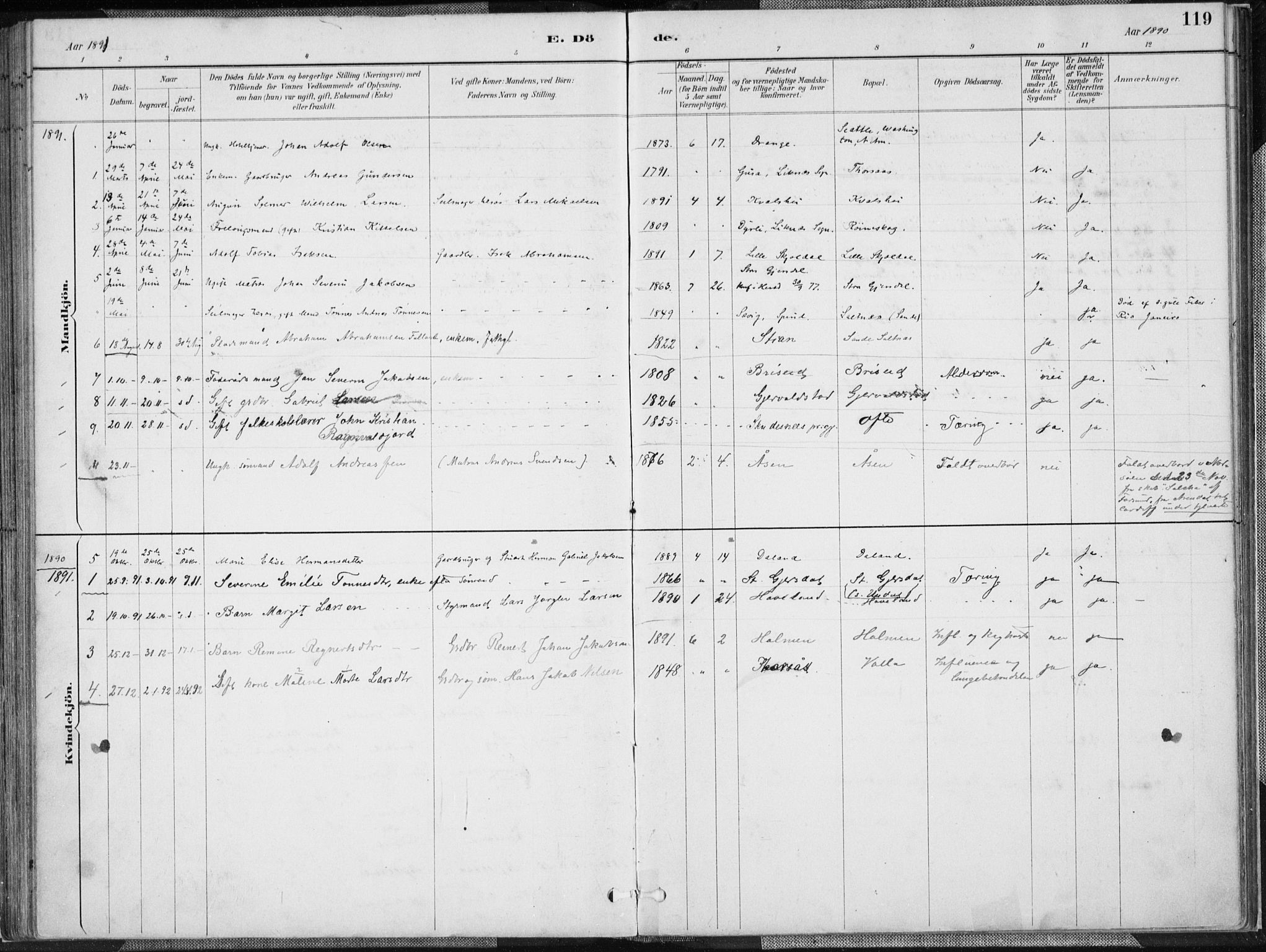 Herad sokneprestkontor, SAK/1111-0018/F/Fa/Faa/L0006: Parish register (official) no. A 6, 1887-1907, p. 119