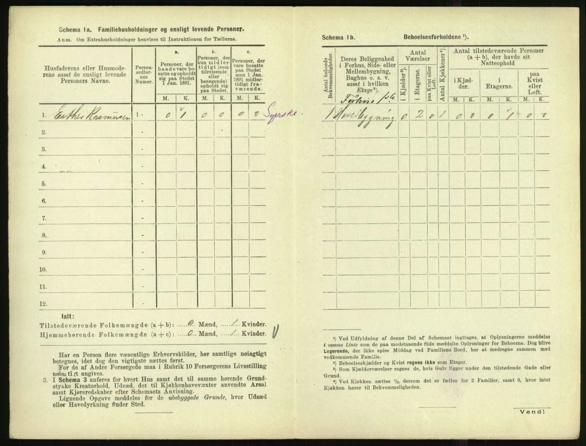 RA, 1891 census for 1002 Mandal, 1891, p. 1146