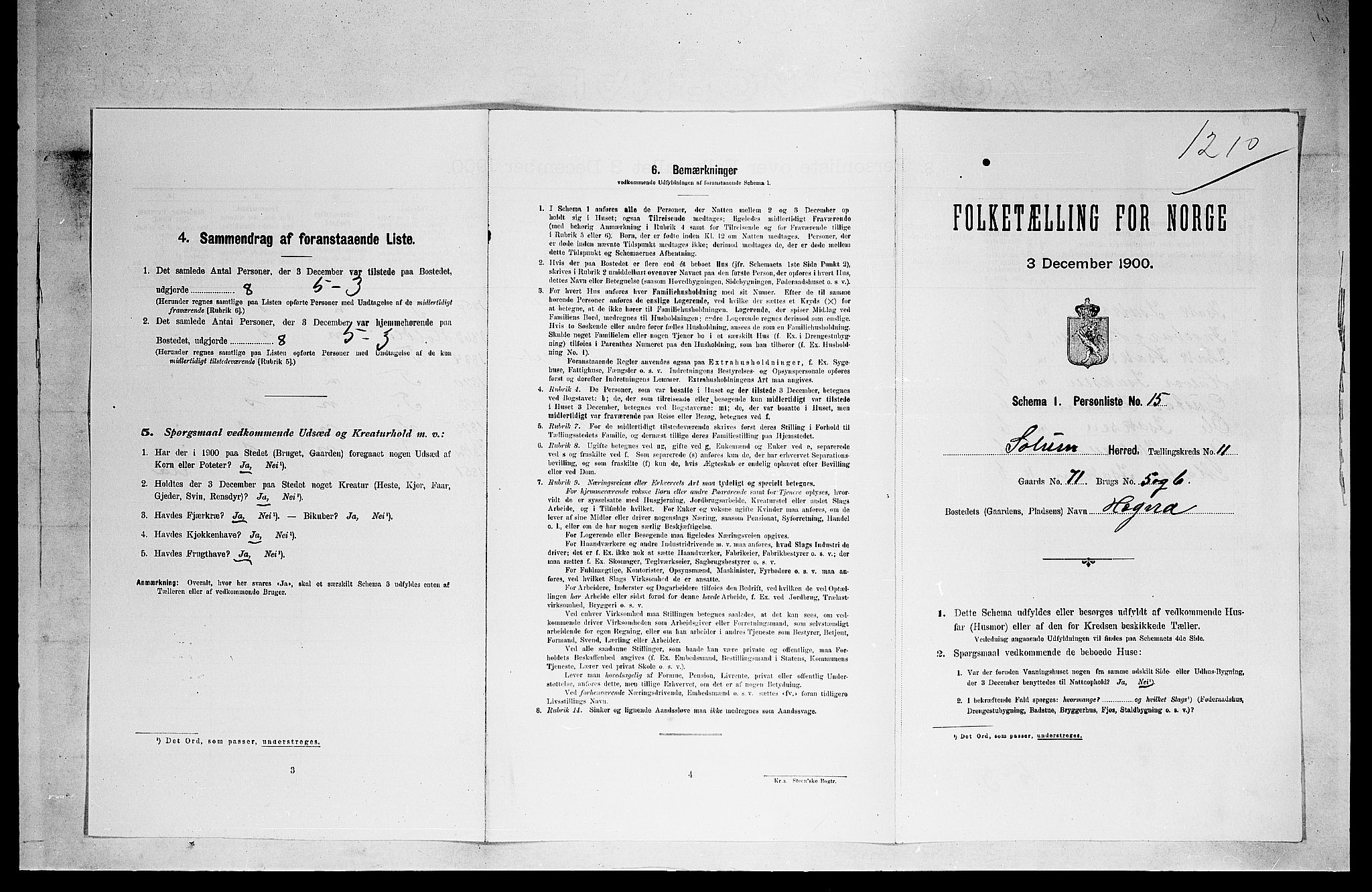 SAKO, 1900 census for Solum, 1900, p. 1865