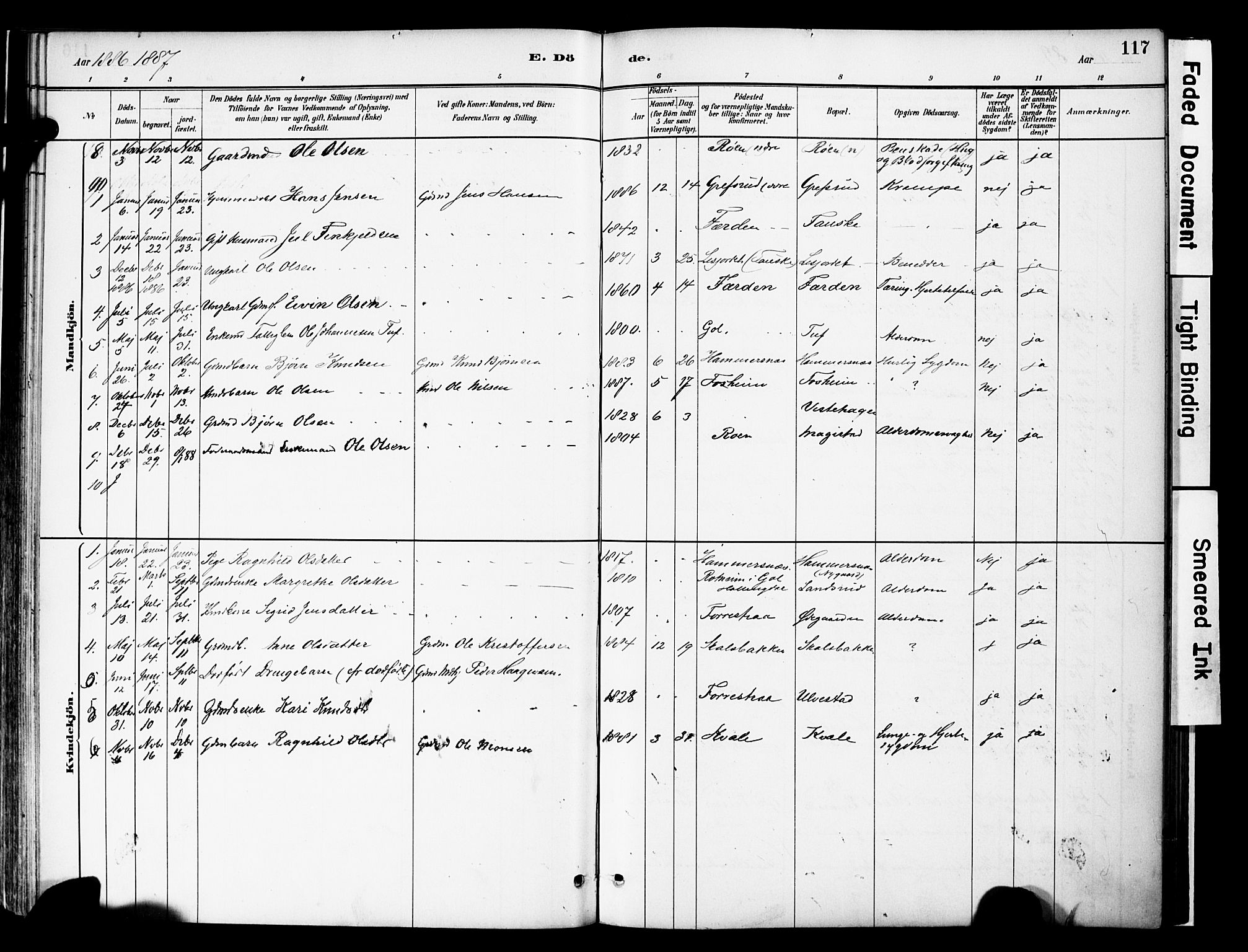 Vestre Slidre prestekontor, SAH/PREST-136/H/Ha/Haa/L0006: Parish register (official) no. 6, 1881-1912, p. 117