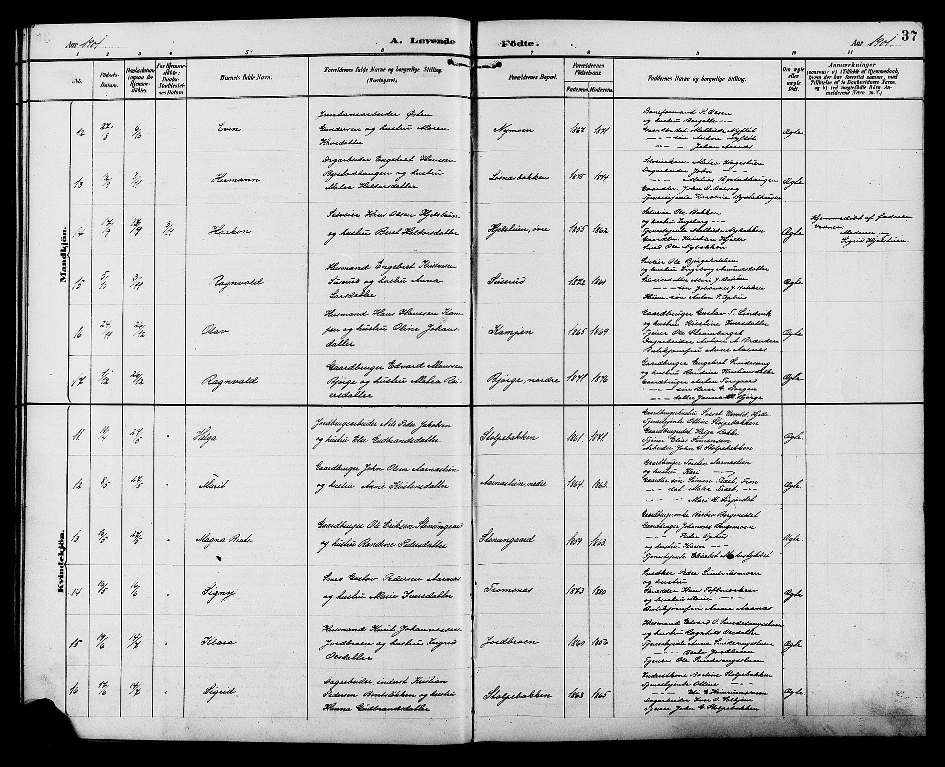 Ringebu prestekontor, AV/SAH-PREST-082/H/Ha/Hab/L0007: Parish register (copy) no. 7, 1890-1910, p. 37