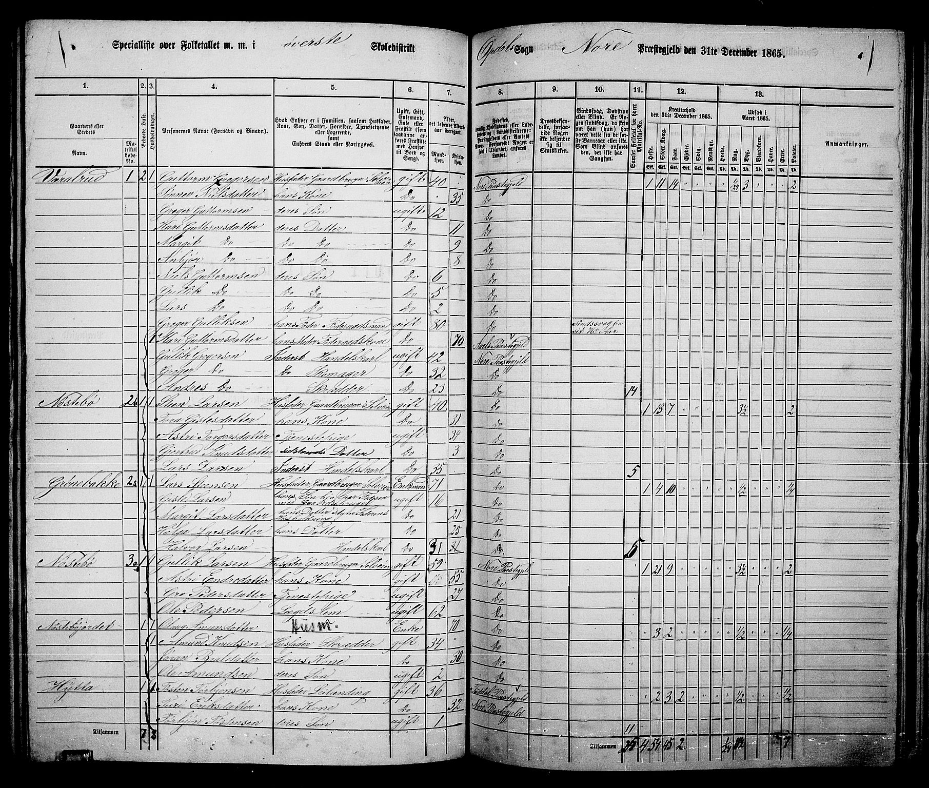 RA, 1865 census for Nore, 1865, p. 121