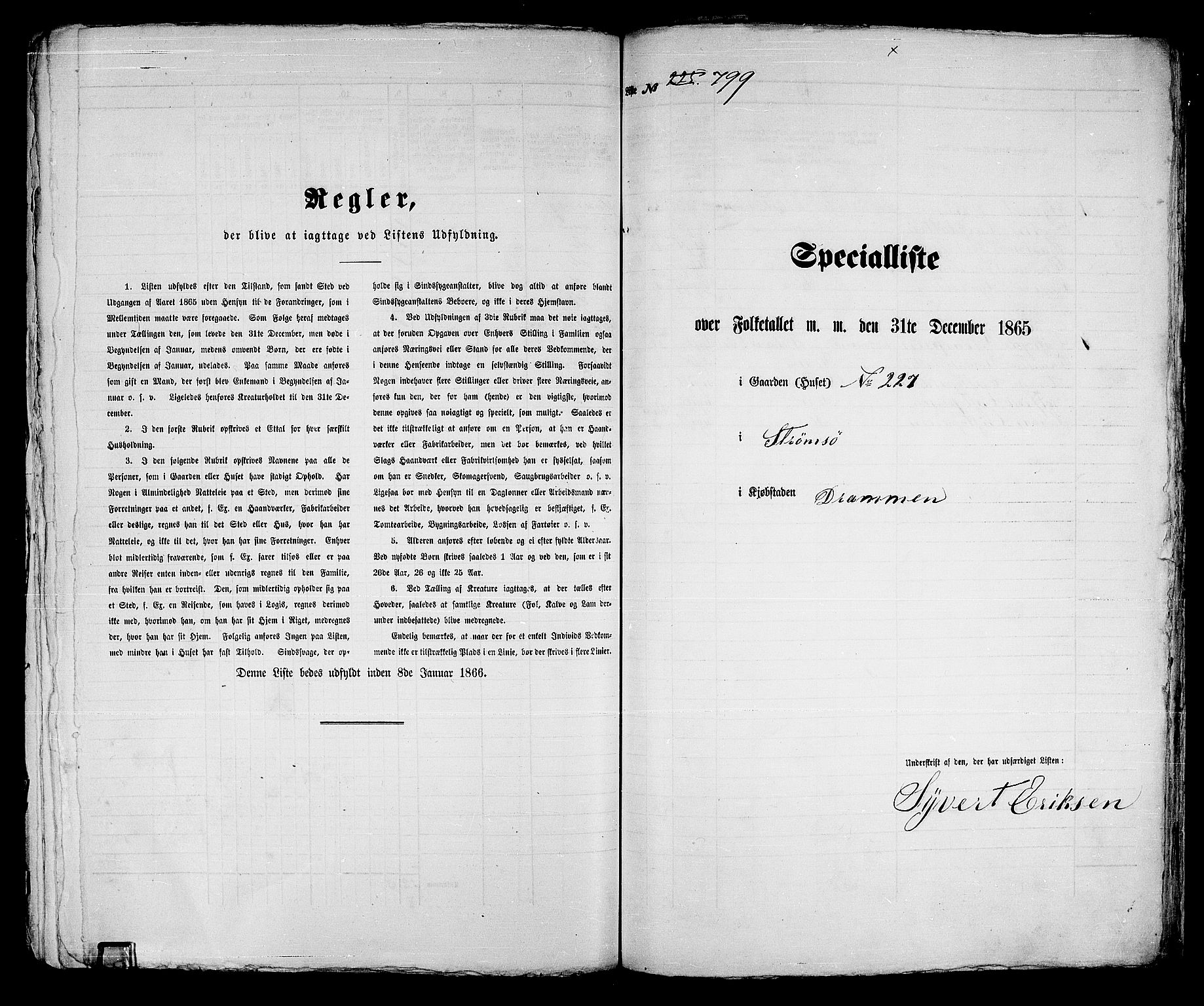 RA, 1865 census for Strømsø in Drammen, 1865, p. 411