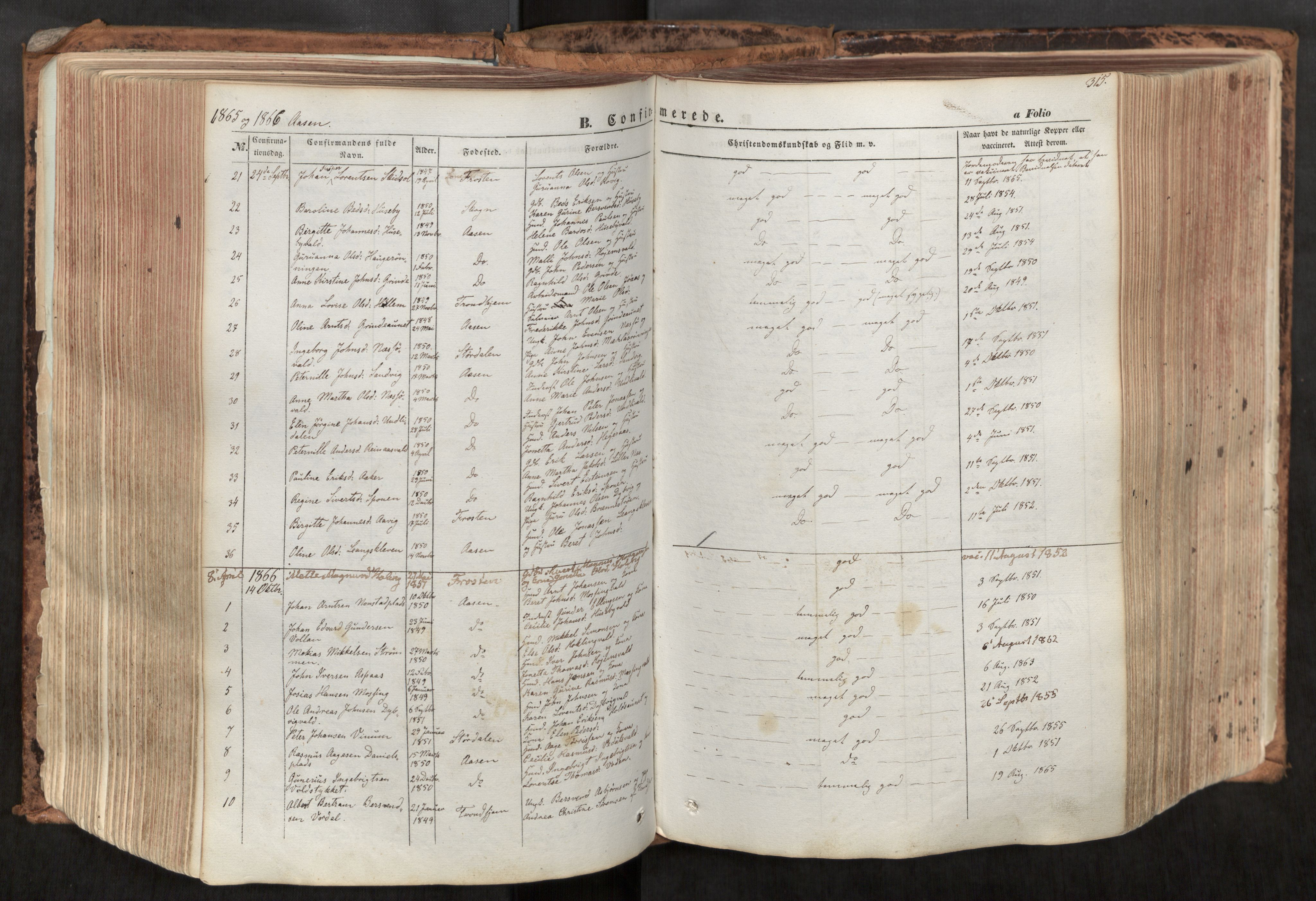 Ministerialprotokoller, klokkerbøker og fødselsregistre - Nord-Trøndelag, SAT/A-1458/713/L0116: Parish register (official) no. 713A07, 1850-1877, p. 315