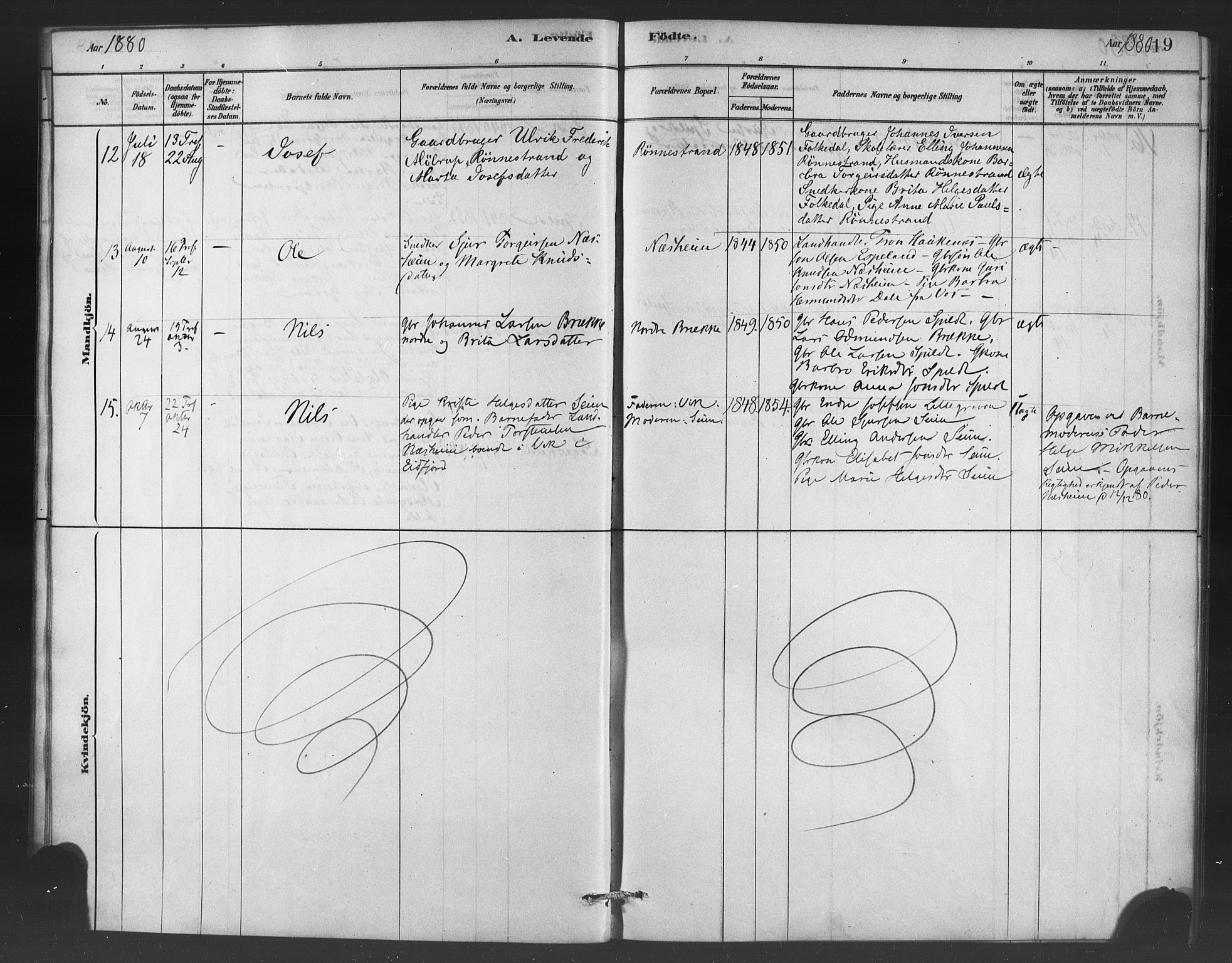 Ulvik sokneprestembete, AV/SAB-A-78801/H/Haa: Parish register (official) no. C 1, 1878-1903, p. 19