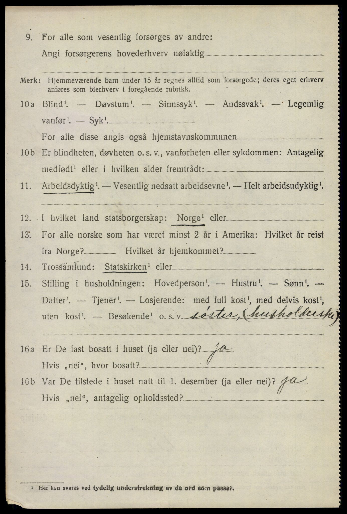 SAO, 1920 census for Nes, 1920, p. 19099