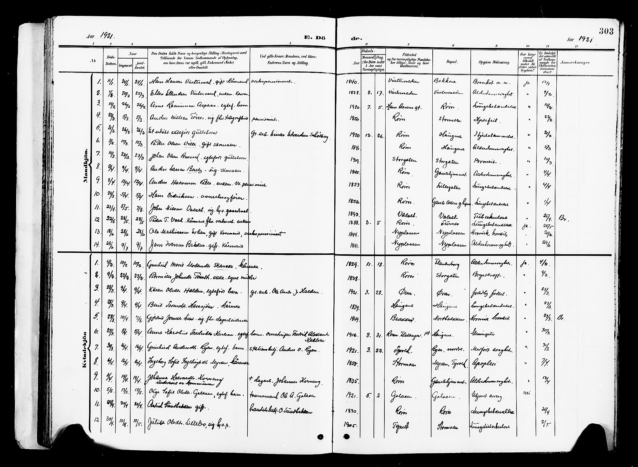 Ministerialprotokoller, klokkerbøker og fødselsregistre - Sør-Trøndelag, AV/SAT-A-1456/681/L0942: Parish register (copy) no. 681C06, 1906-1925, p. 303