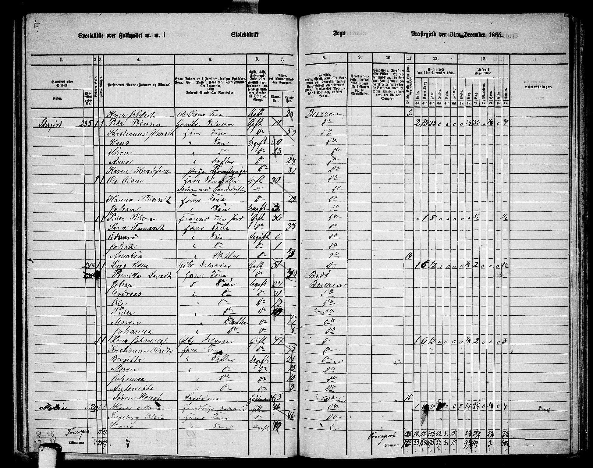 RA, 1865 census for Beiarn, 1865, p. 33