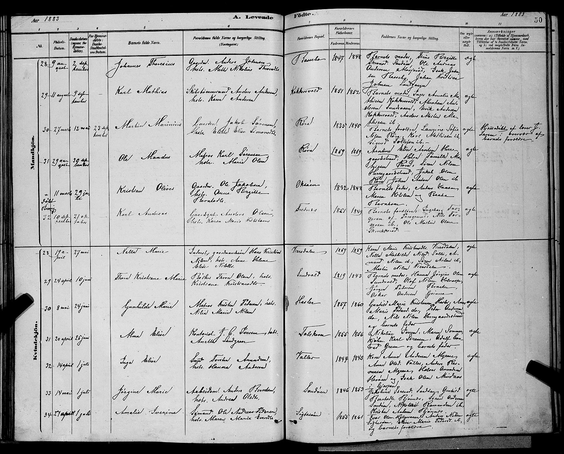 Eidanger kirkebøker, AV/SAKO-A-261/G/Ga/L0002: Parish register (copy) no. 2, 1879-1892, p. 50