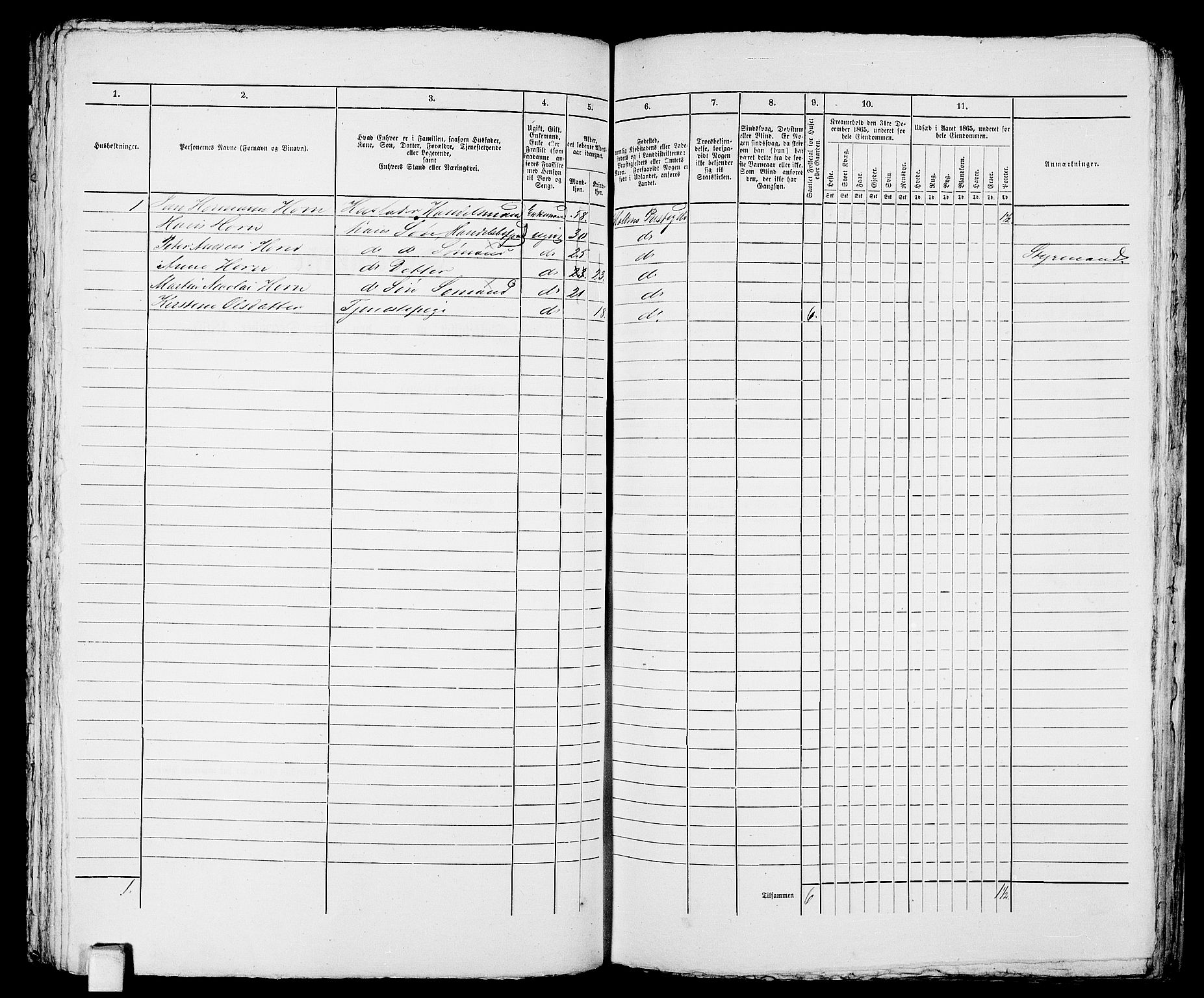 RA, 1865 census for Larvik, 1865, p. 839