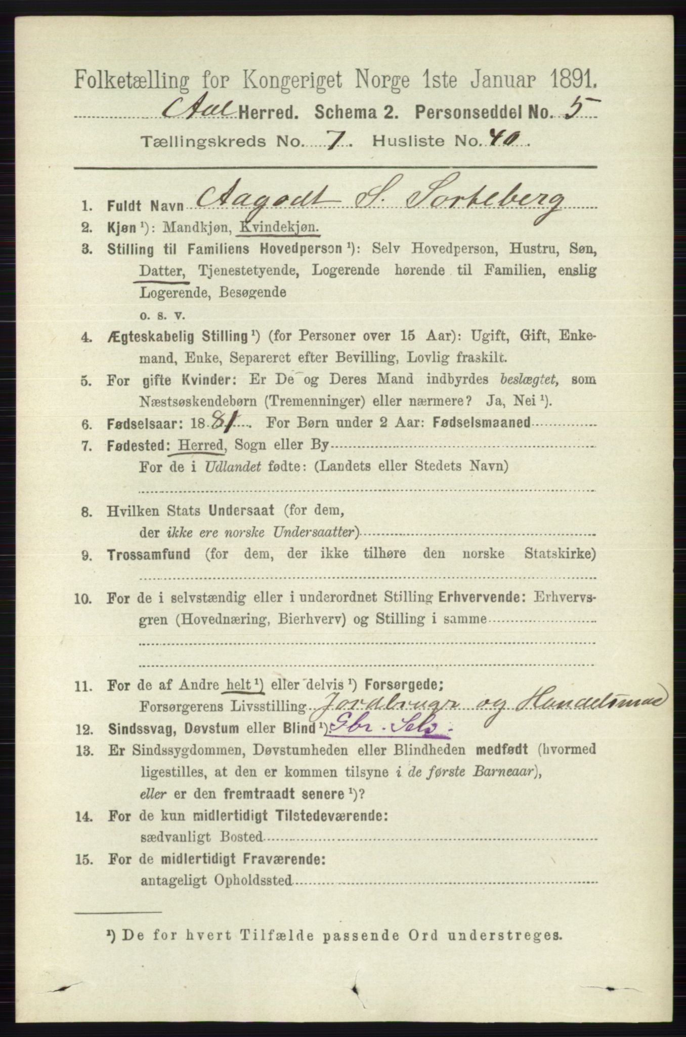 RA, 1891 census for 0619 Ål, 1891, p. 2008