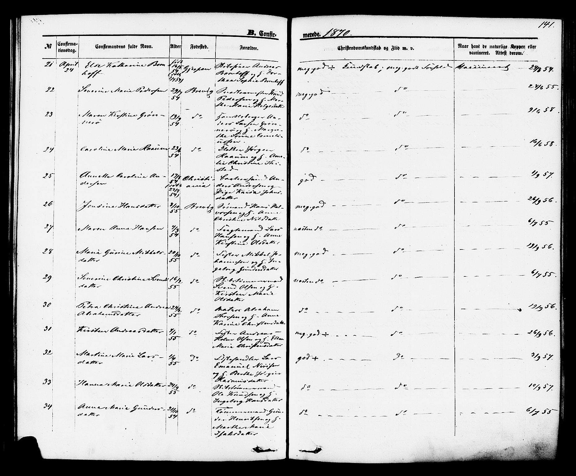 Brevik kirkebøker, AV/SAKO-A-255/F/Fa/L0006: Parish register (official) no. 6, 1866-1881, p. 141