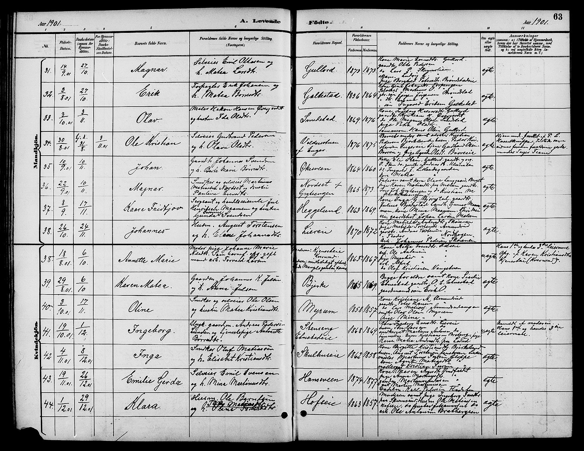 Biri prestekontor, SAH/PREST-096/H/Ha/Hab/L0004: Parish register (copy) no. 4, 1892-1909, p. 63