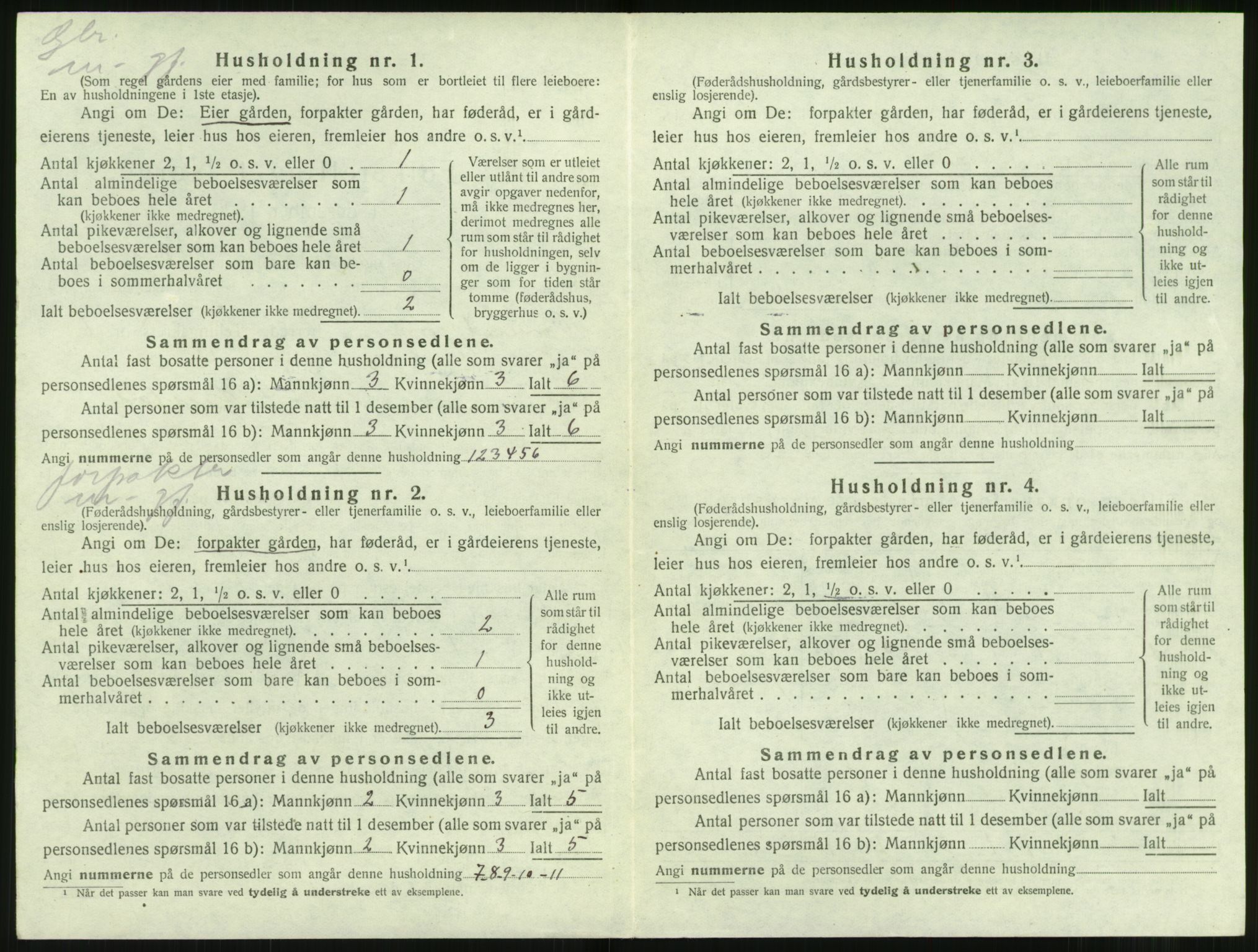 SAT, 1920 census for Hjørundfjord, 1920, p. 306