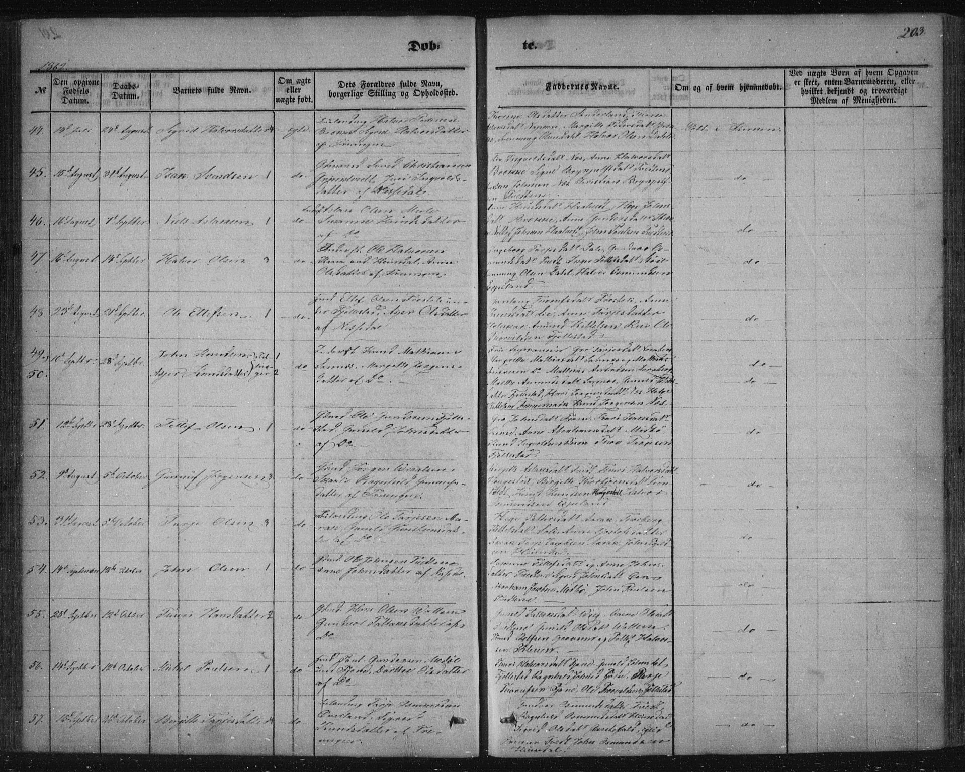 Nissedal kirkebøker, AV/SAKO-A-288/F/Fa/L0003: Parish register (official) no. I 3, 1846-1870, p. 202-203