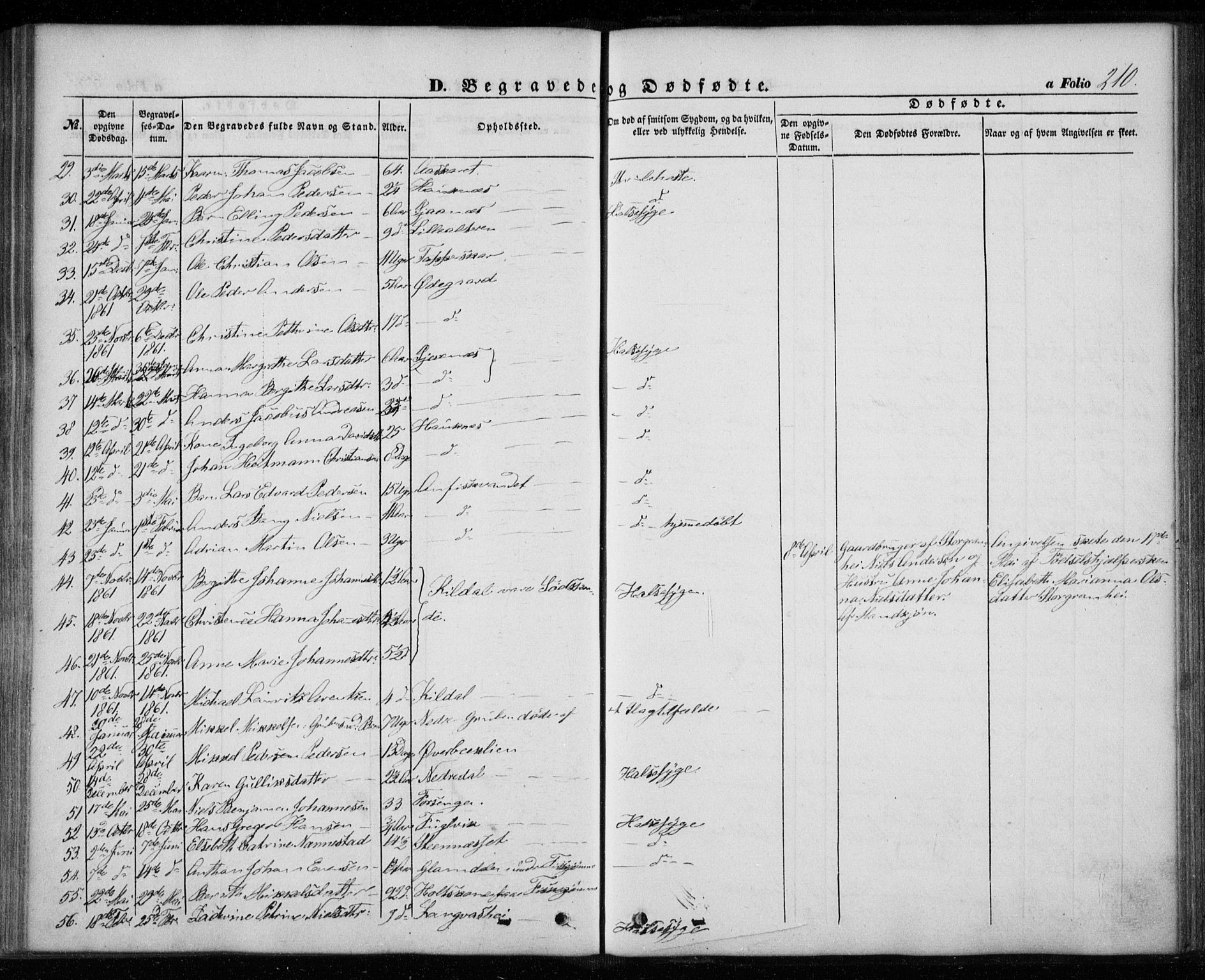 Ministerialprotokoller, klokkerbøker og fødselsregistre - Nordland, AV/SAT-A-1459/827/L0392: Parish register (official) no. 827A04, 1853-1866, p. 210