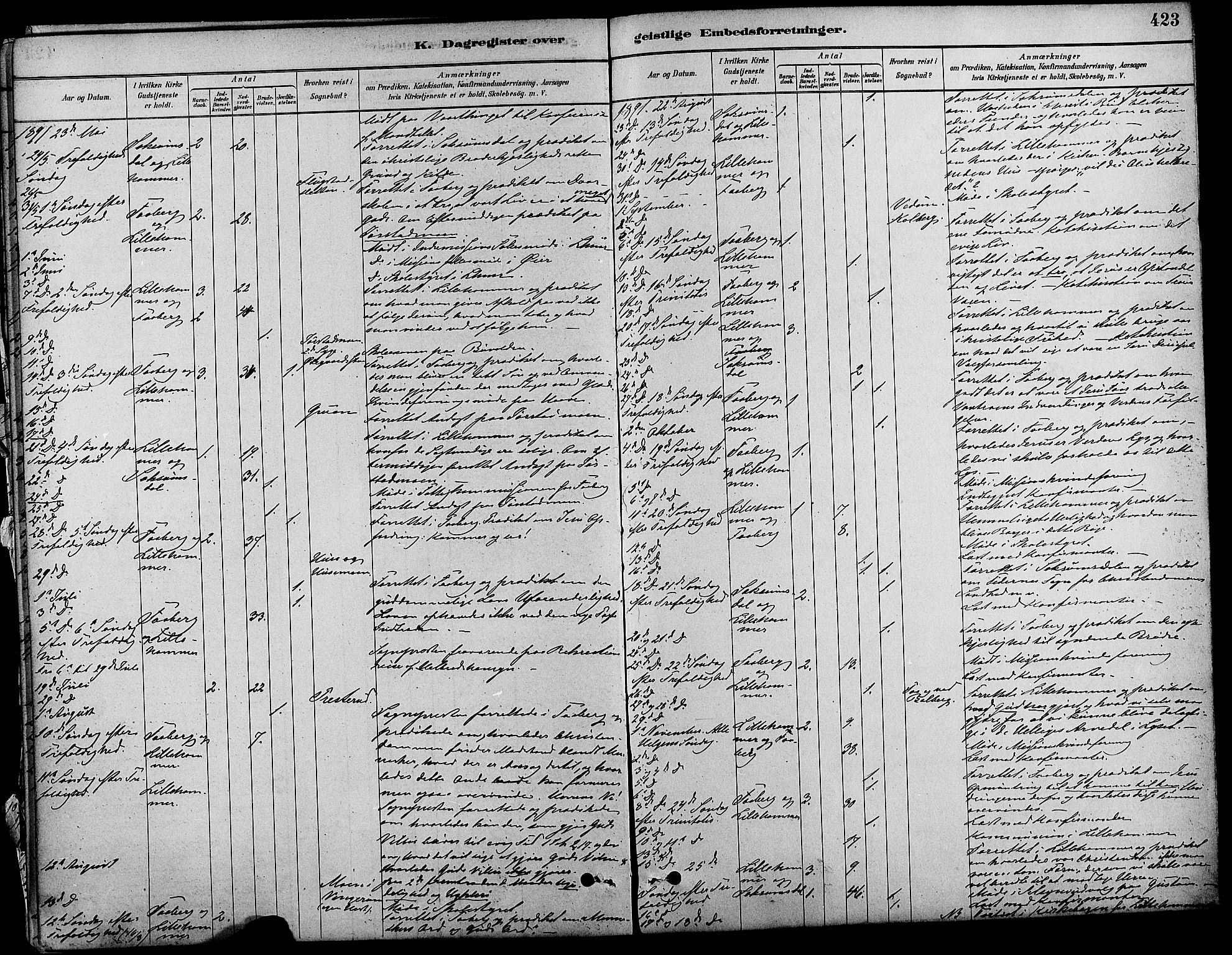 Fåberg prestekontor, SAH/PREST-086/H/Ha/Haa/L0008: Parish register (official) no. 8, 1879-1898, p. 423