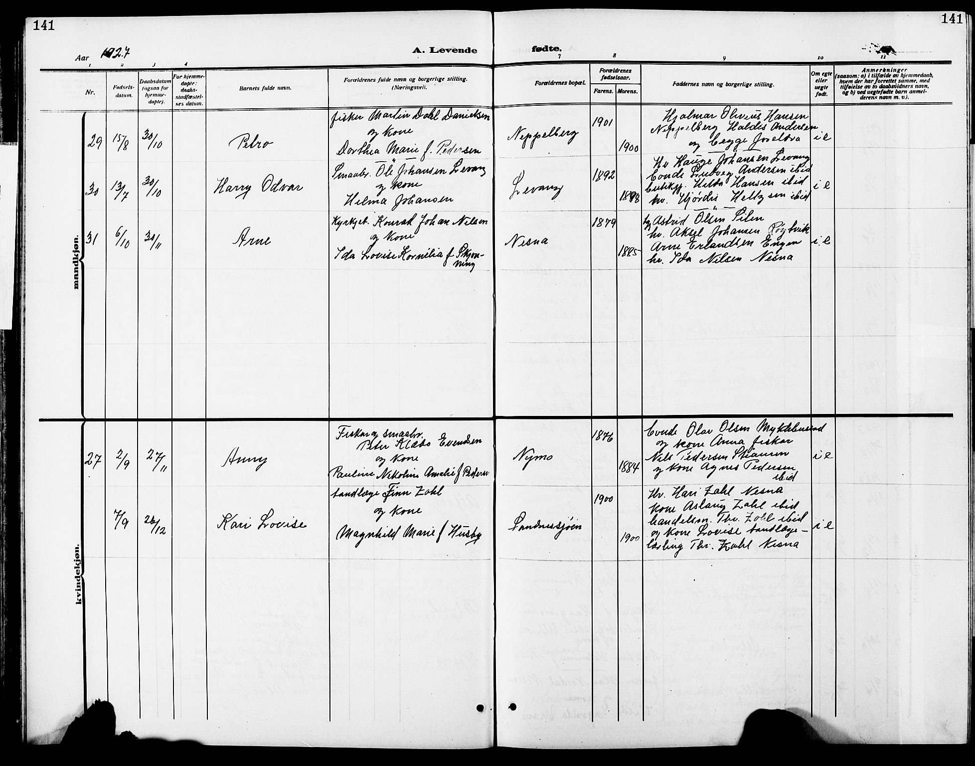 Ministerialprotokoller, klokkerbøker og fødselsregistre - Nordland, AV/SAT-A-1459/838/L0560: Parish register (copy) no. 838C07, 1910-1928, p. 141