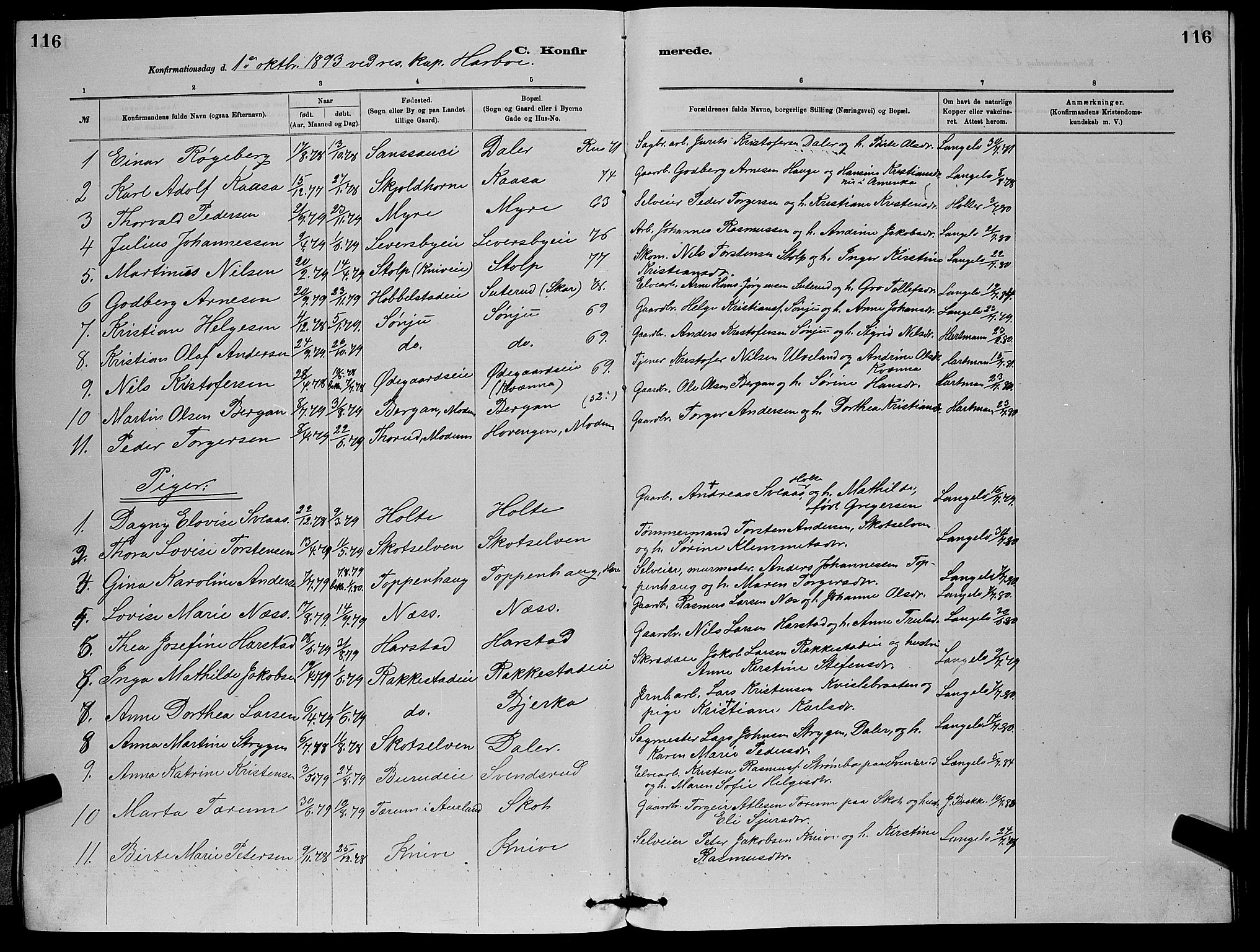 Eiker kirkebøker, AV/SAKO-A-4/G/Gb/L0003: Parish register (copy) no. II 3, 1880-1893, p. 116