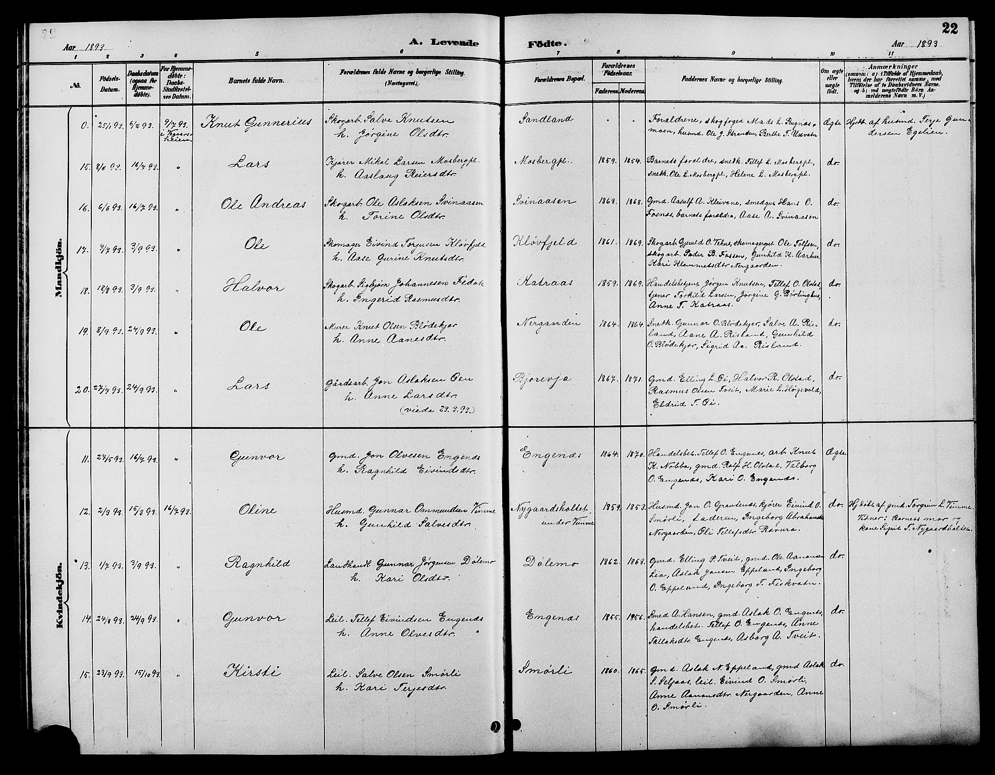 Åmli sokneprestkontor, AV/SAK-1111-0050/F/Fb/Fbc/L0004: Parish register (copy) no. B 4, 1889-1902, p. 22