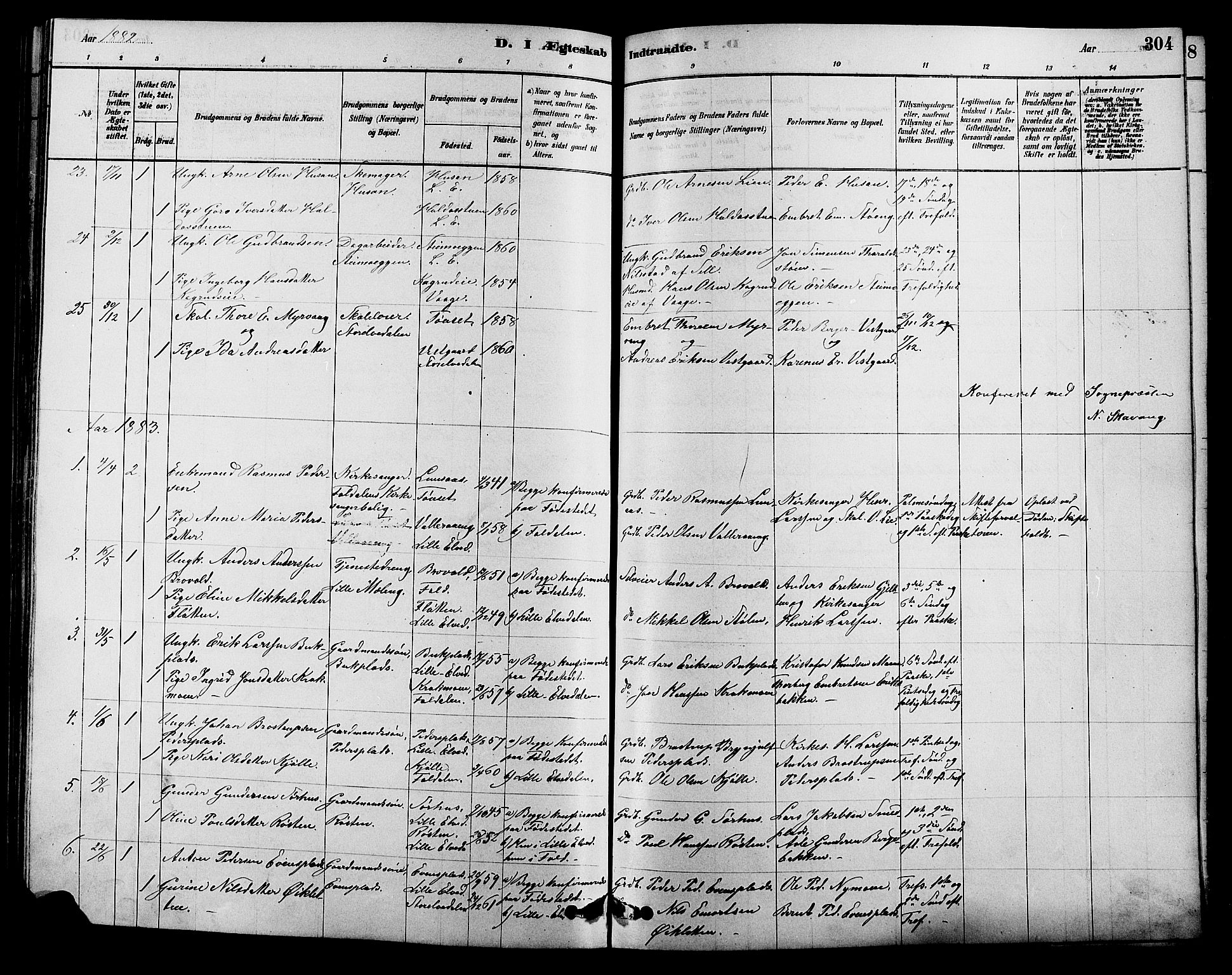 Alvdal prestekontor, SAH/PREST-060/H/Ha/Hab/L0003: Parish register (copy) no. 3, 1878-1907, p. 304