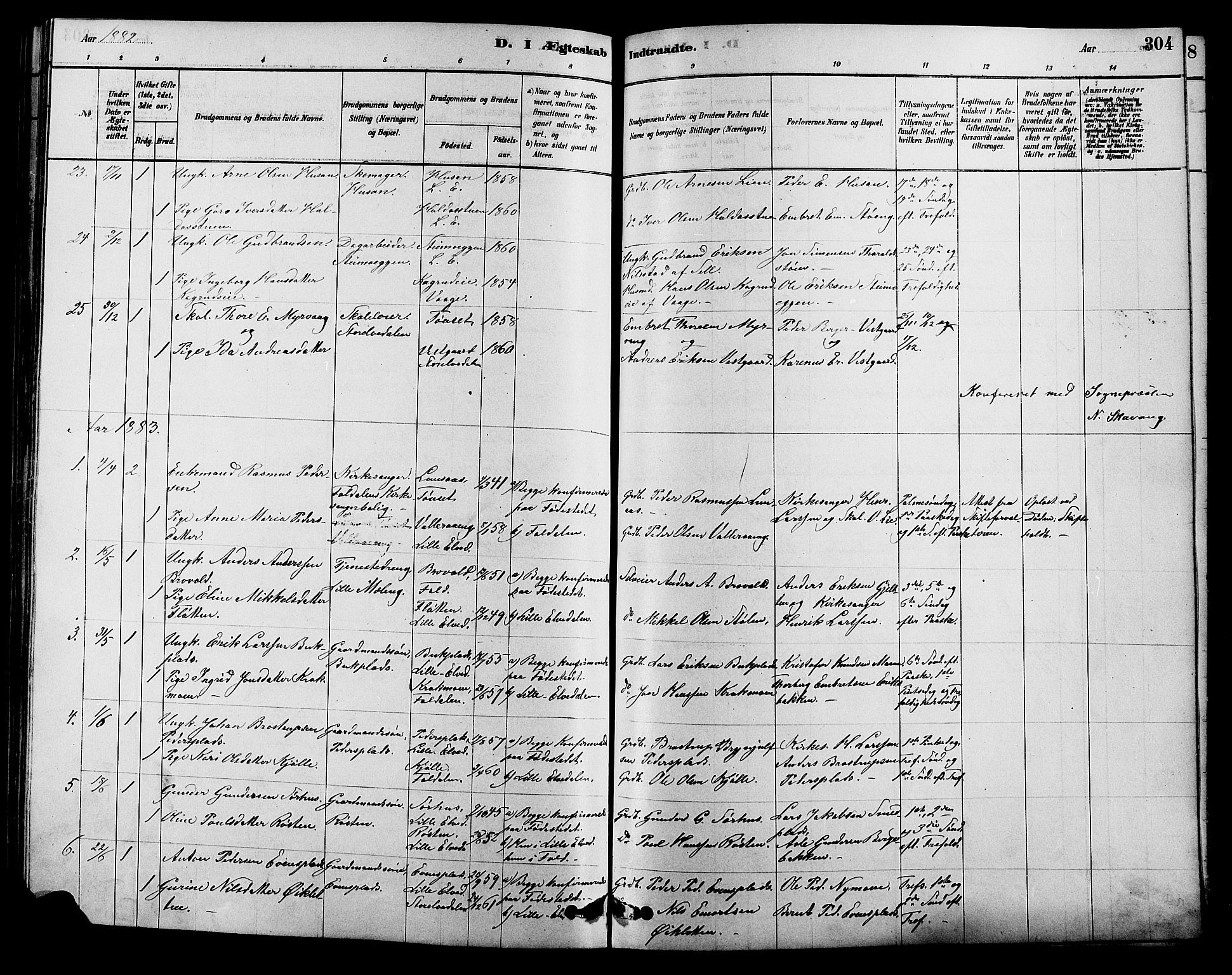 Alvdal prestekontor, AV/SAH-PREST-060/H/Ha/Hab/L0003: Parish register (copy) no. 3, 1878-1907, p. 304