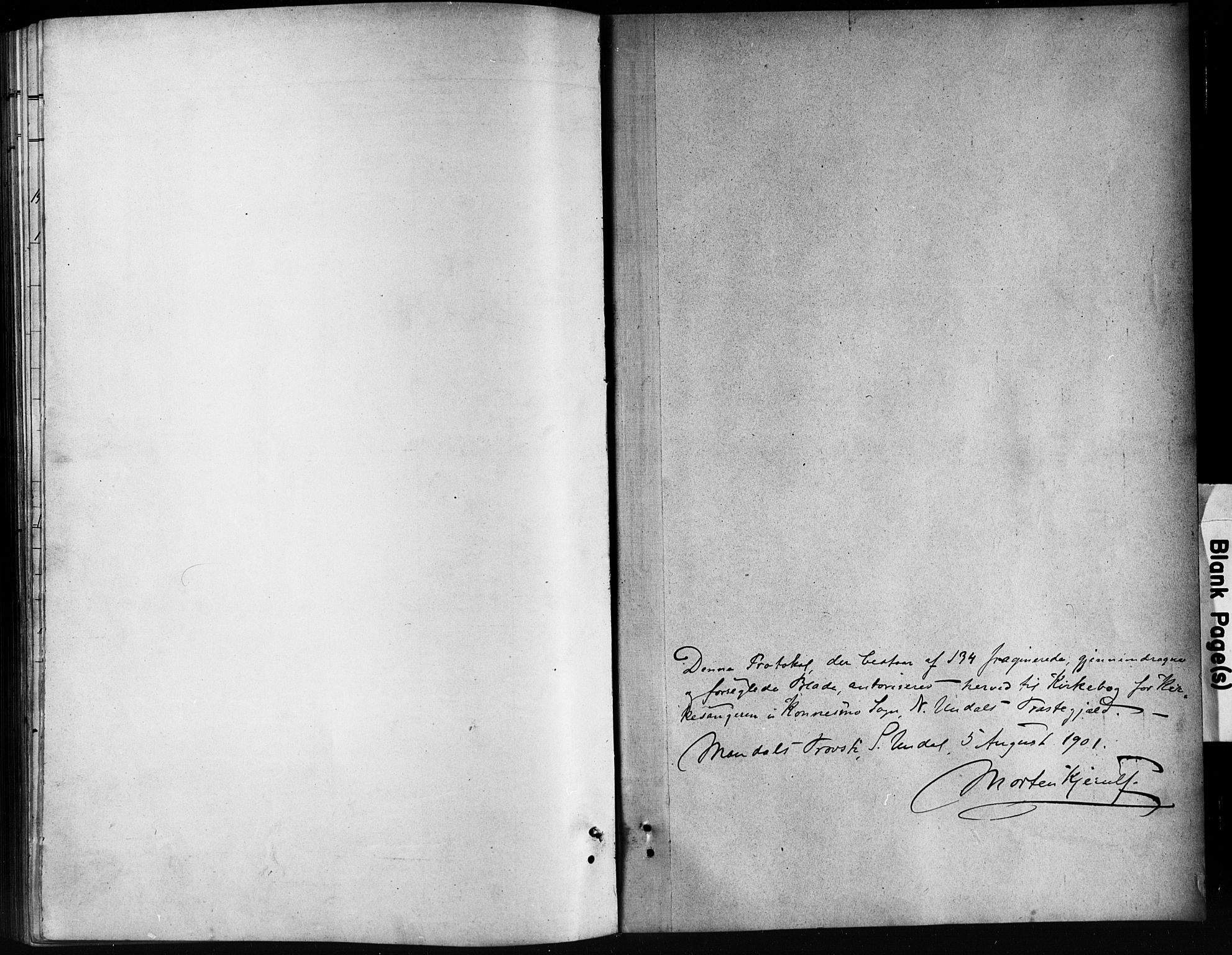 Nord-Audnedal sokneprestkontor, AV/SAK-1111-0032/F/Fb/Fba/L0004: Parish register (copy) no. B 4, 1901-1917