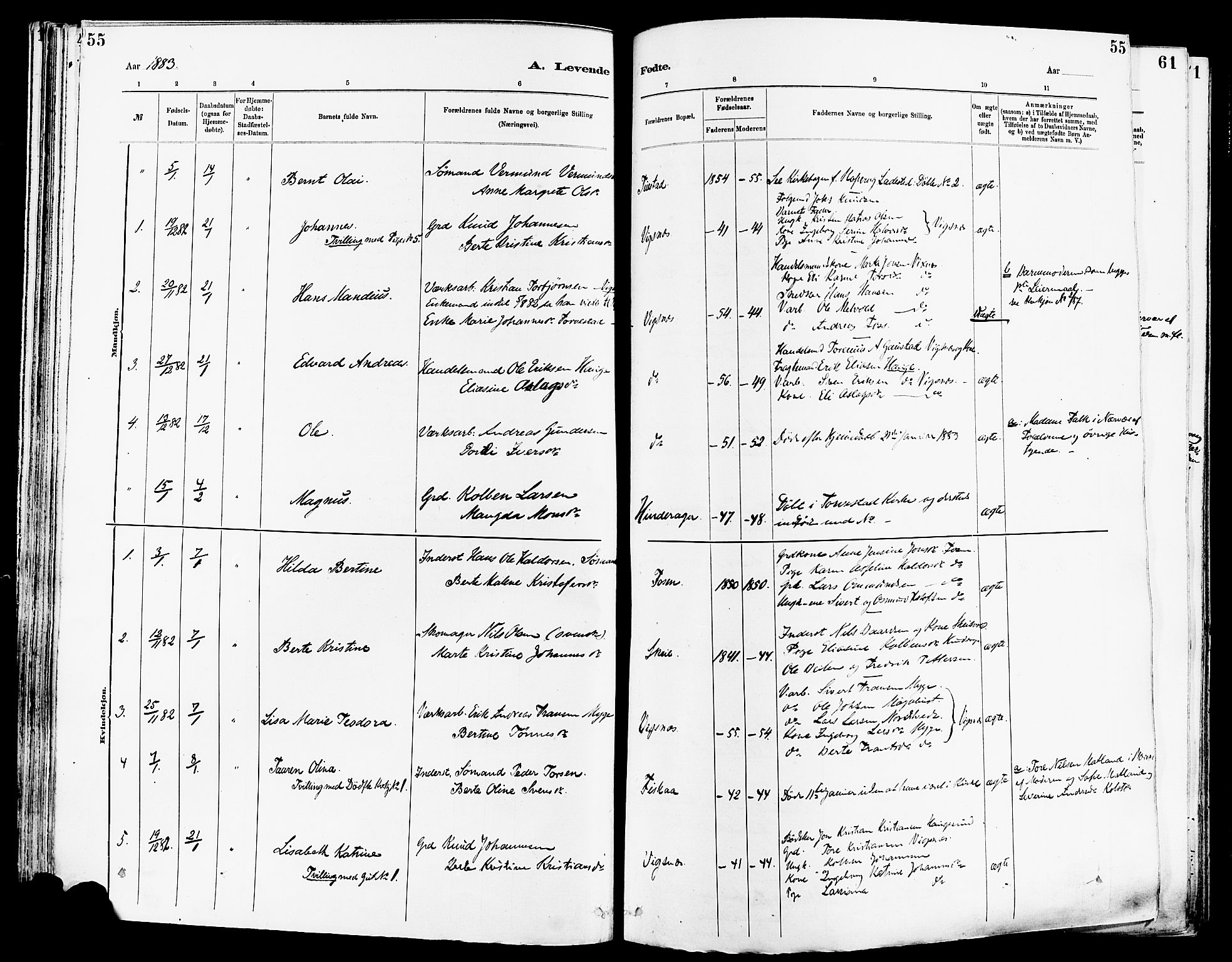 Avaldsnes sokneprestkontor, SAST/A -101851/H/Ha/Haa/L0014: Parish register (official) no. A 14, 1880-1889, p. 55