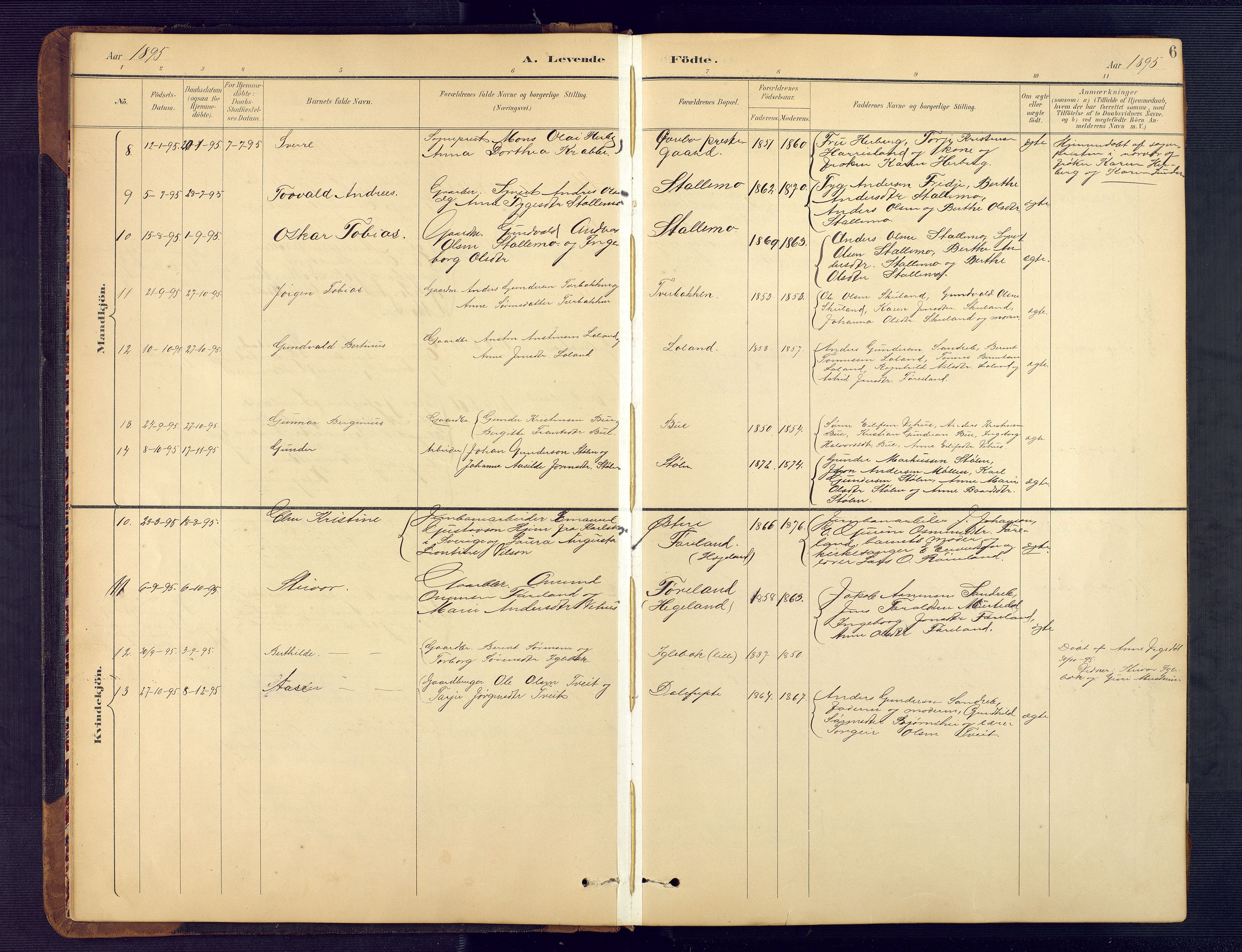 Vennesla sokneprestkontor, SAK/1111-0045/Fb/Fbc/L0003: Parish register (copy) no. B 3, 1895-1946, p. 6