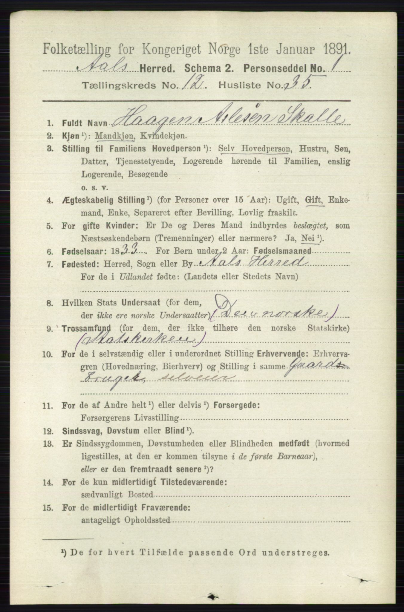 RA, 1891 census for 0619 Ål, 1891, p. 3205