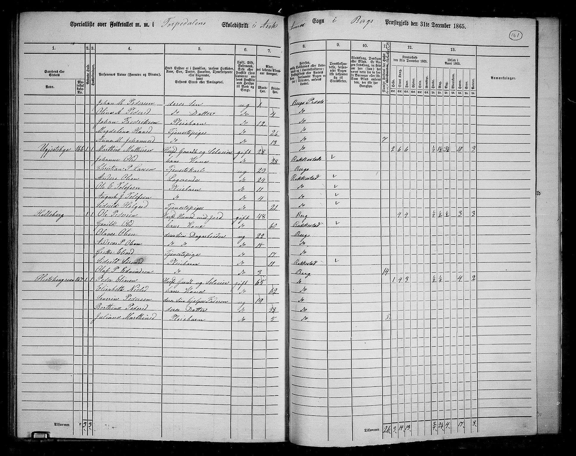 RA, 1865 census for Berg, 1865, p. 139