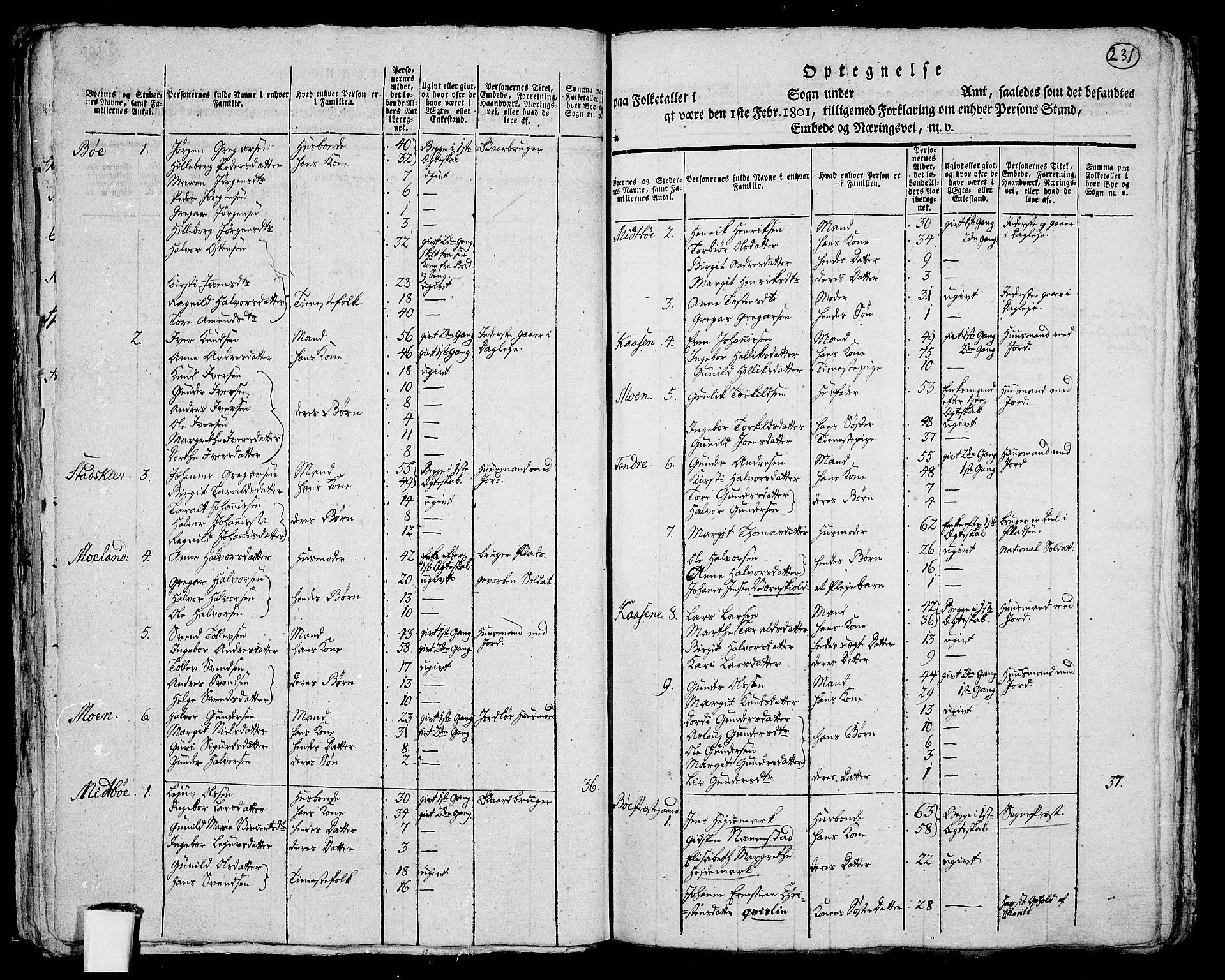 RA, 1801 census for 0821P Bø, 1801, p. 230b-231a