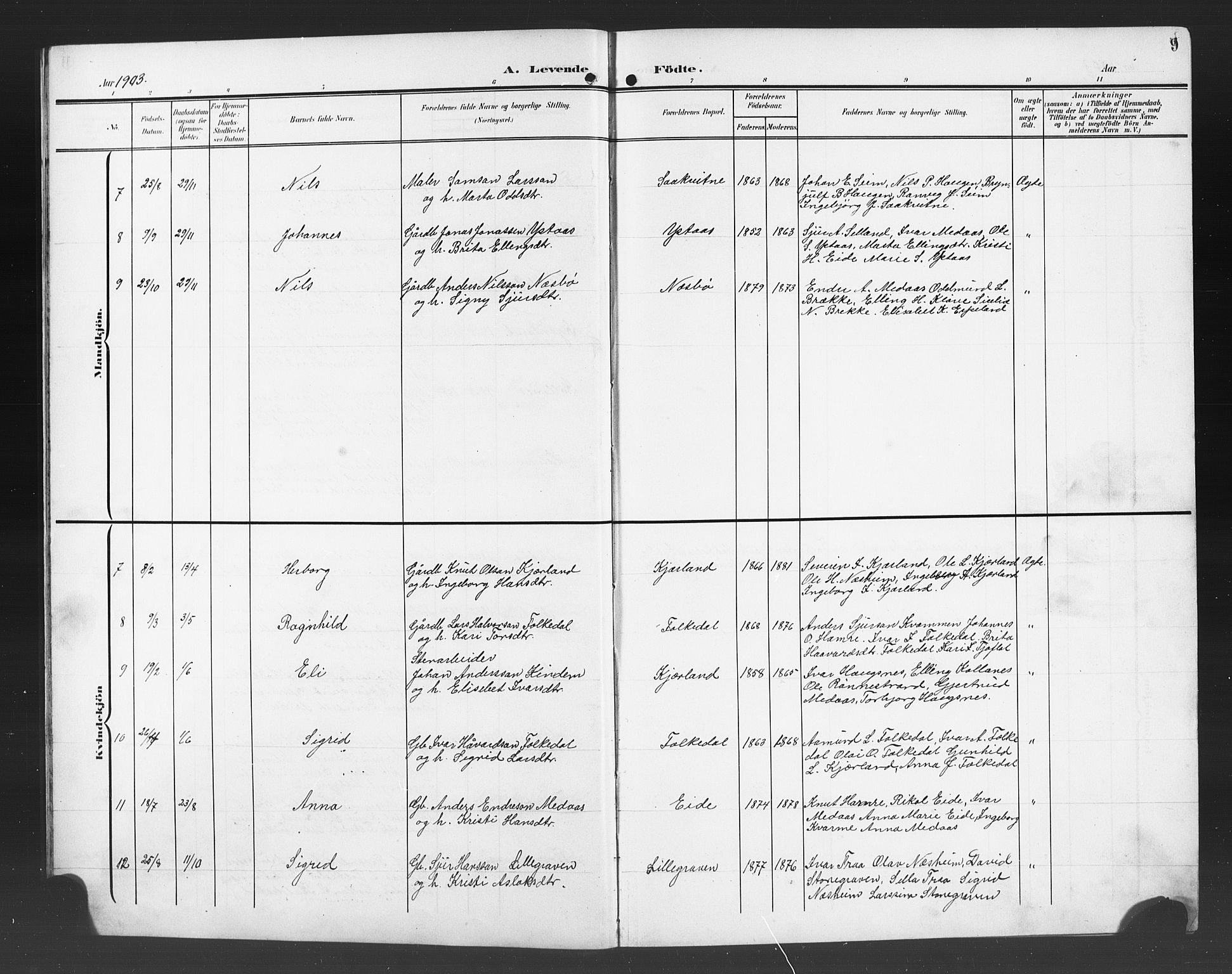 Ulvik sokneprestembete, SAB/A-78801/H/Hab: Parish register (copy) no. B 4, 1902-1923, p. 9