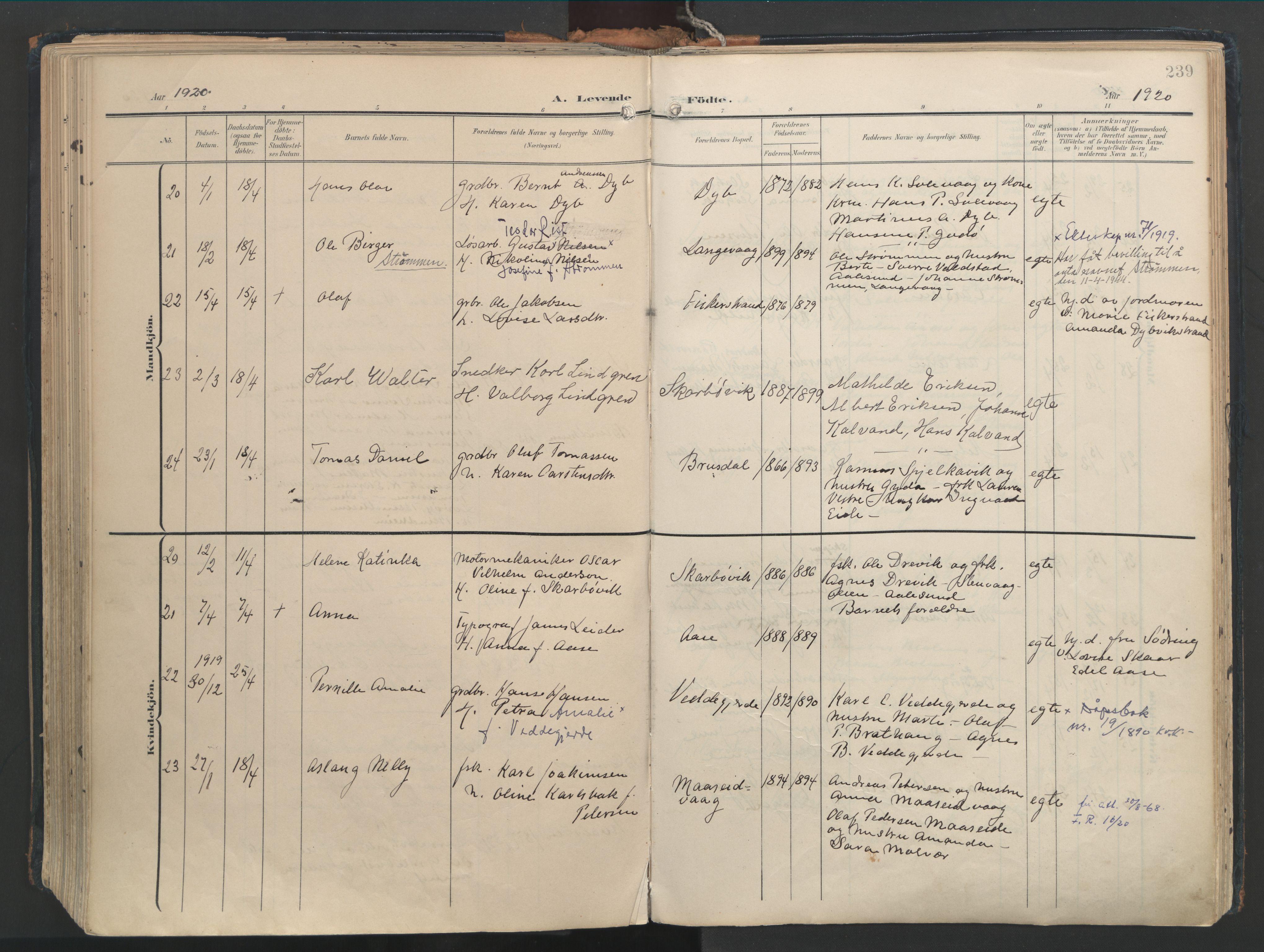 Ministerialprotokoller, klokkerbøker og fødselsregistre - Møre og Romsdal, AV/SAT-A-1454/528/L0411: Parish register (official) no. 528A20, 1907-1920, p. 239