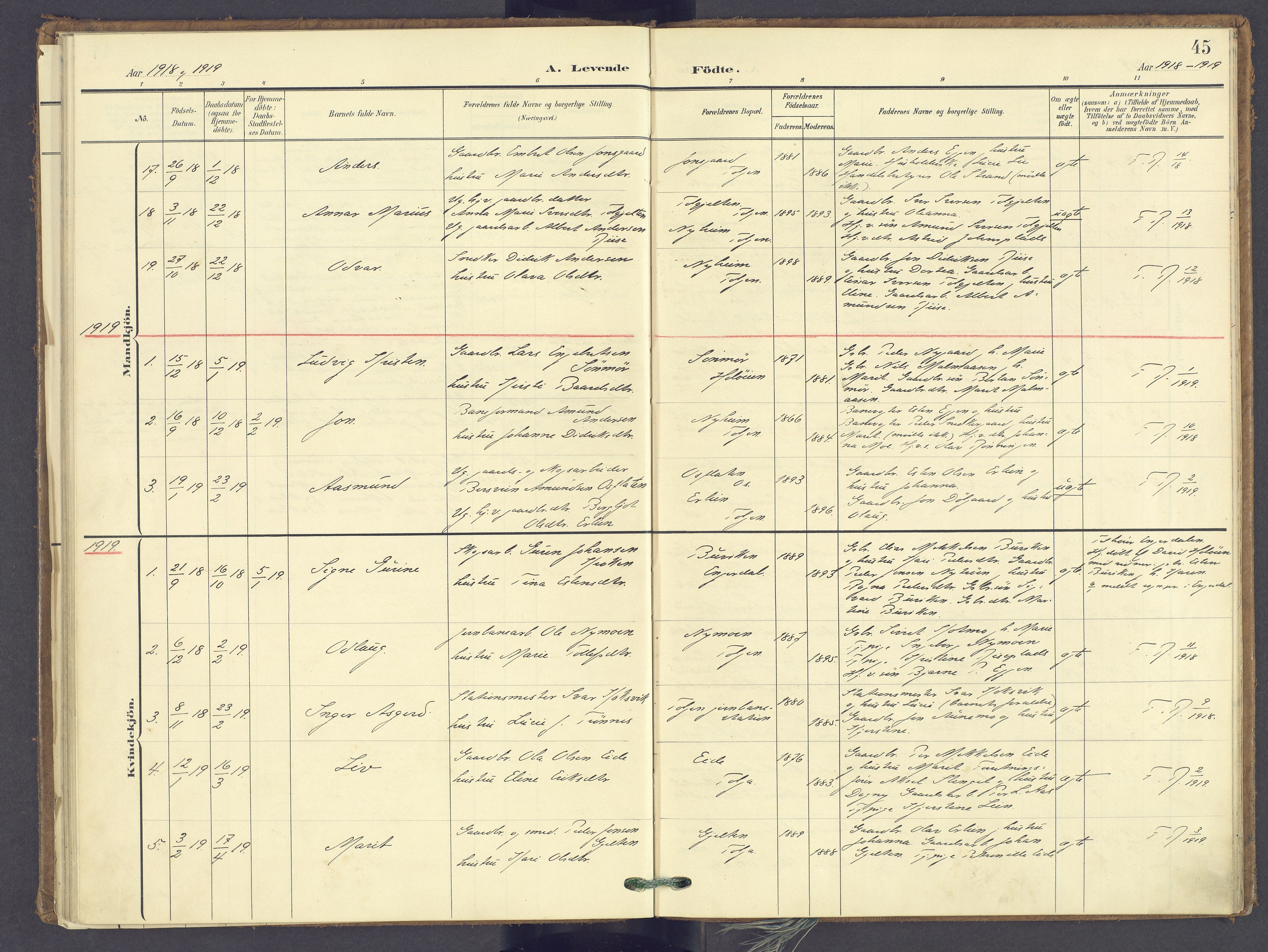 Tolga prestekontor, SAH/PREST-062/K/L0014: Parish register (official) no. 14, 1903-1929, p. 45