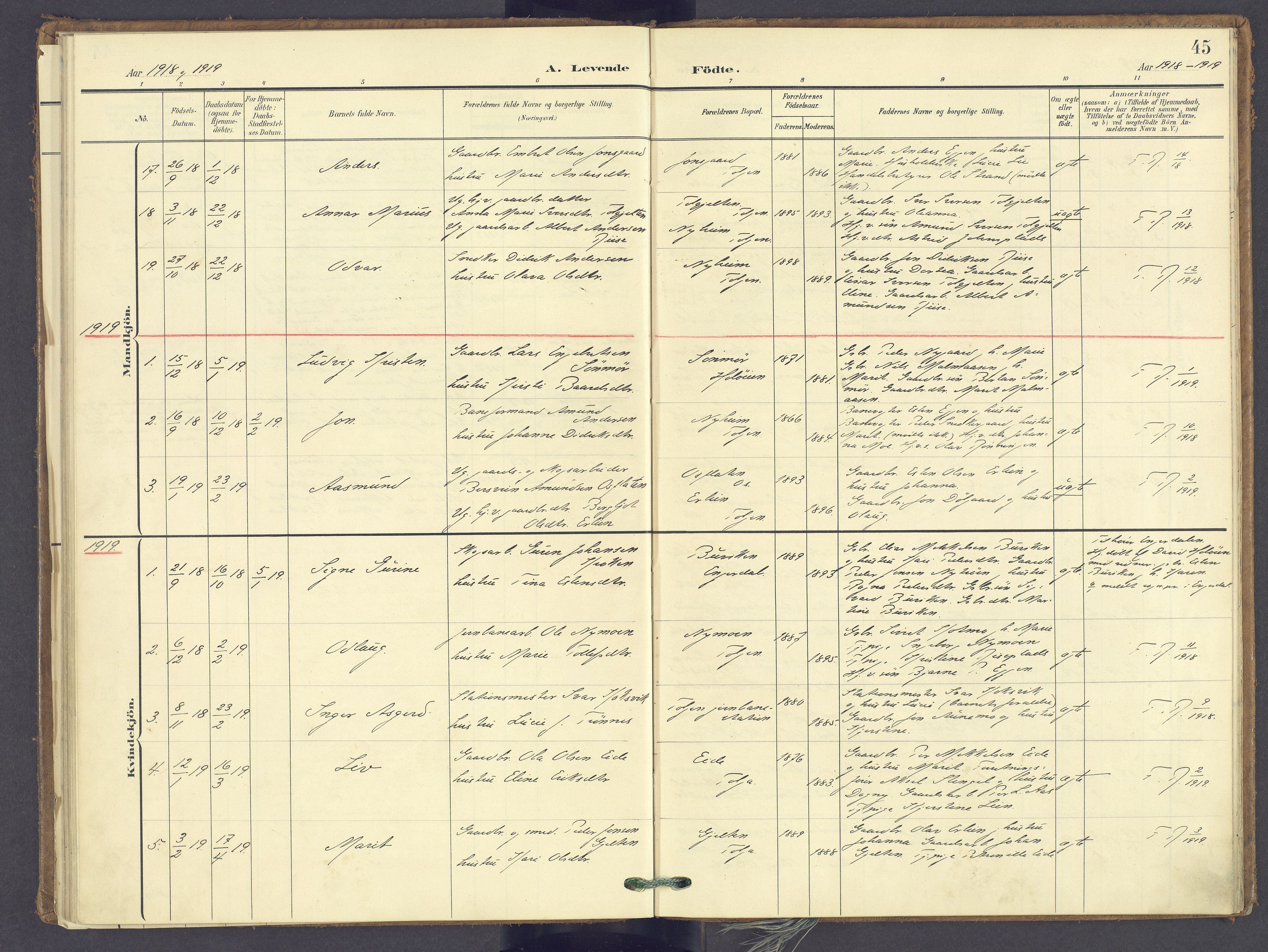 Tolga prestekontor, AV/SAH-PREST-062/K/L0014: Parish register (official) no. 14, 1903-1929, p. 45