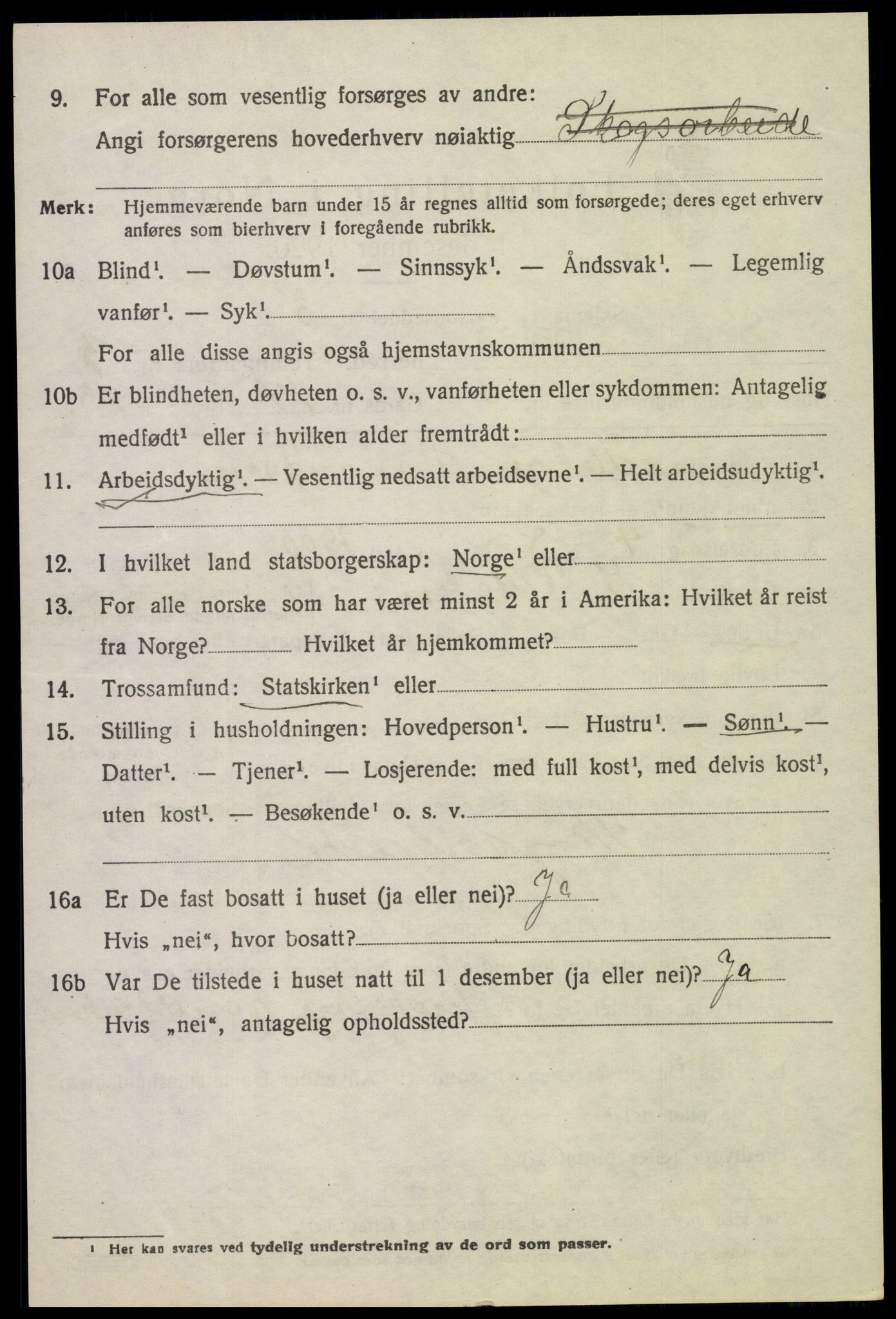 SAH, 1920 census for Sør-Odal, 1920, p. 5022