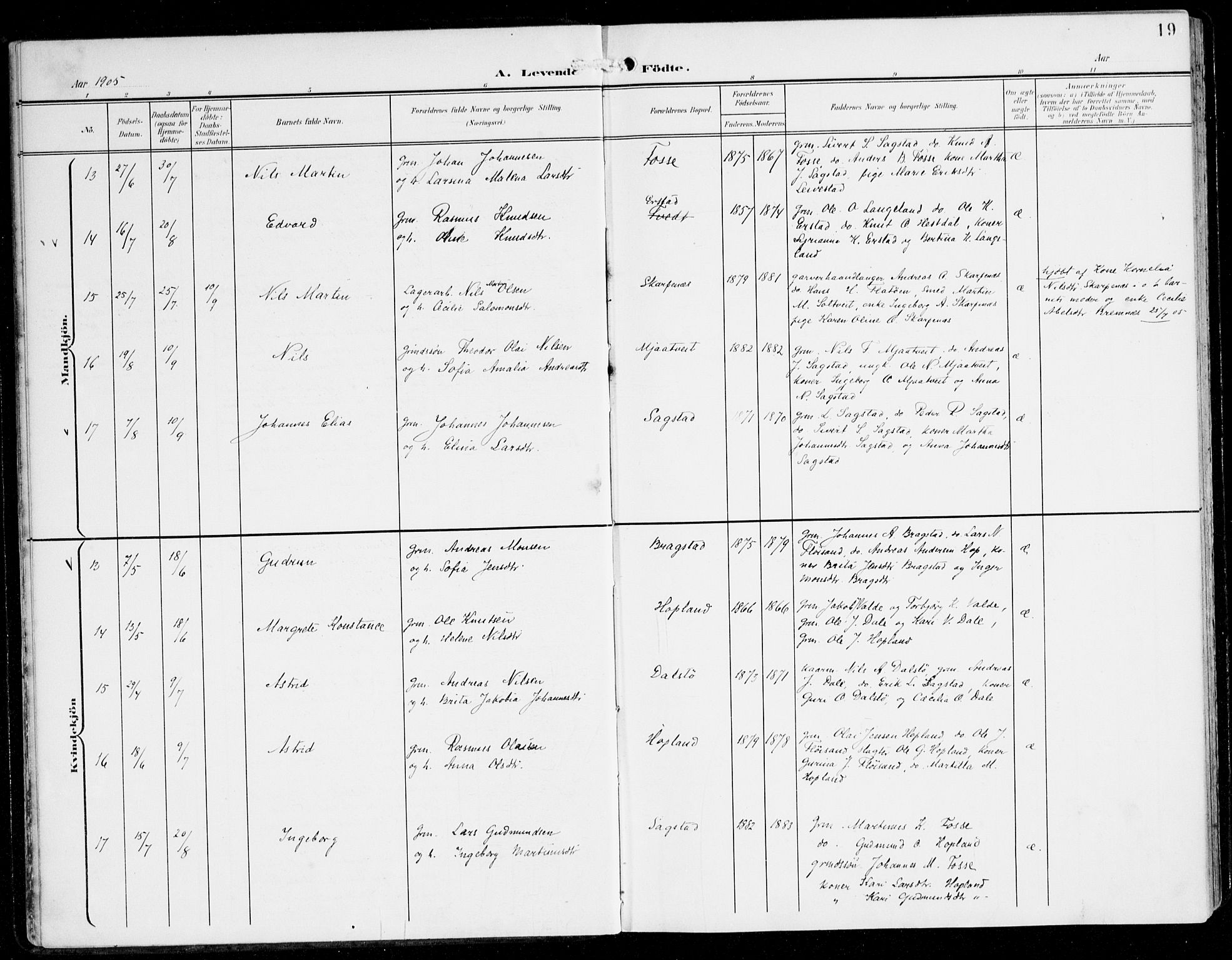 Alversund Sokneprestembete, AV/SAB-A-73901/H/Ha/Haa/Haac/L0002: Parish register (official) no. C 2, 1901-1921, p. 19