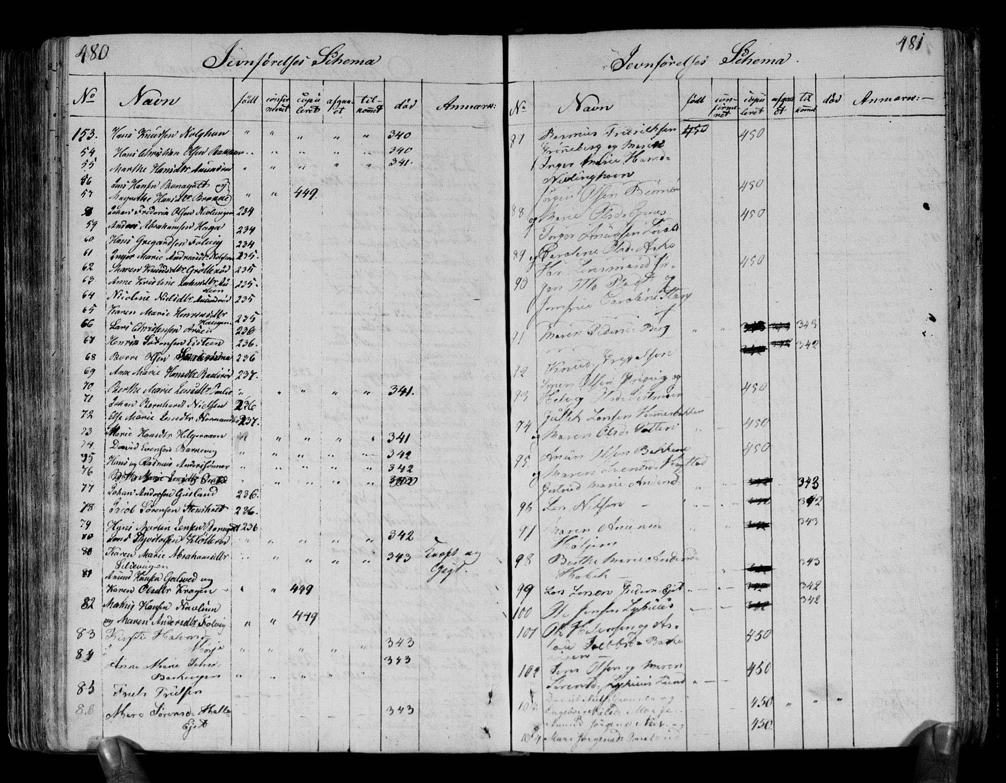 Brunlanes kirkebøker, AV/SAKO-A-342/F/Fa/L0002: Parish register (official) no. I 2, 1802-1834, p. 480-481