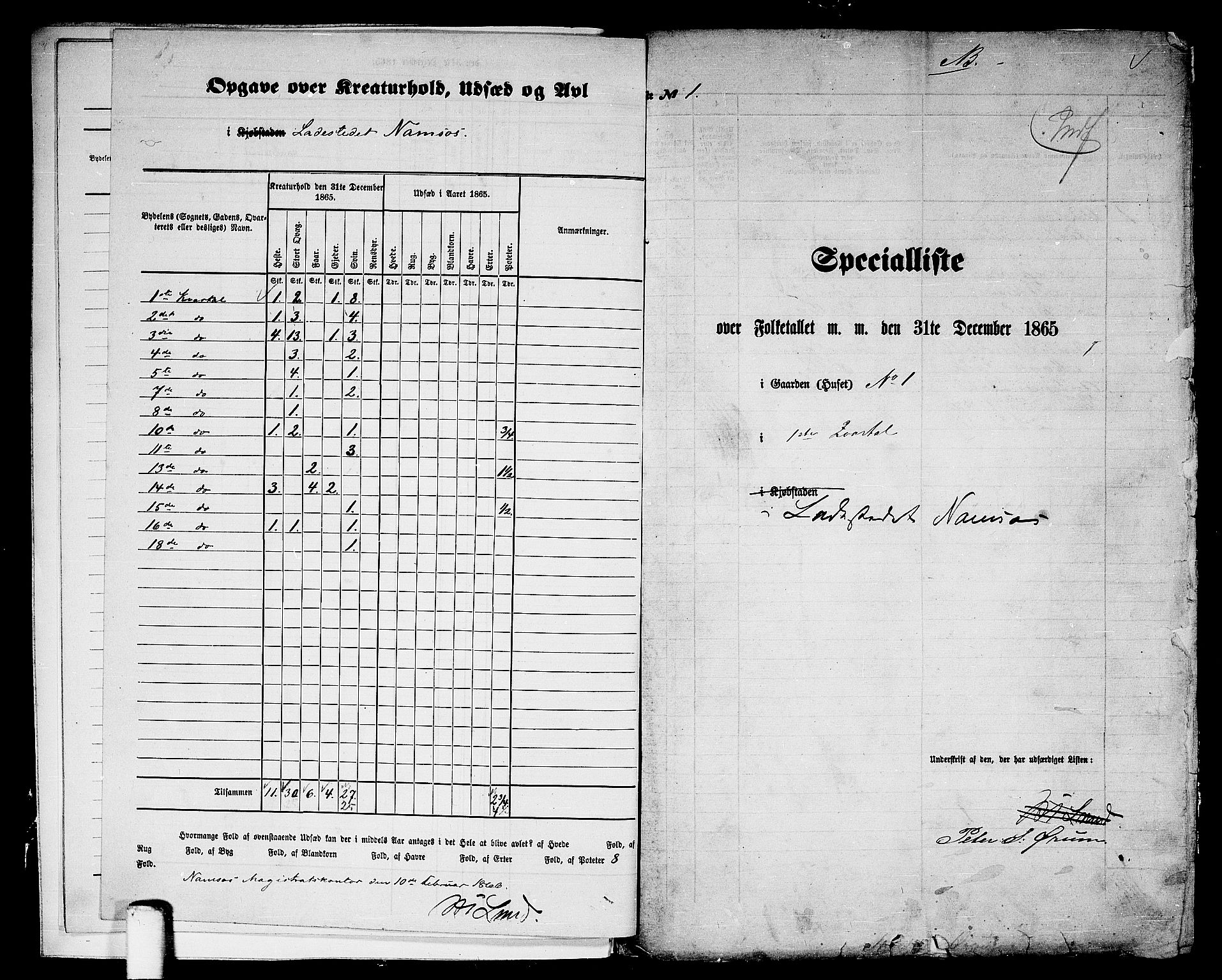 RA, 1865 census for Namsos/Namsos, 1865, p. 5