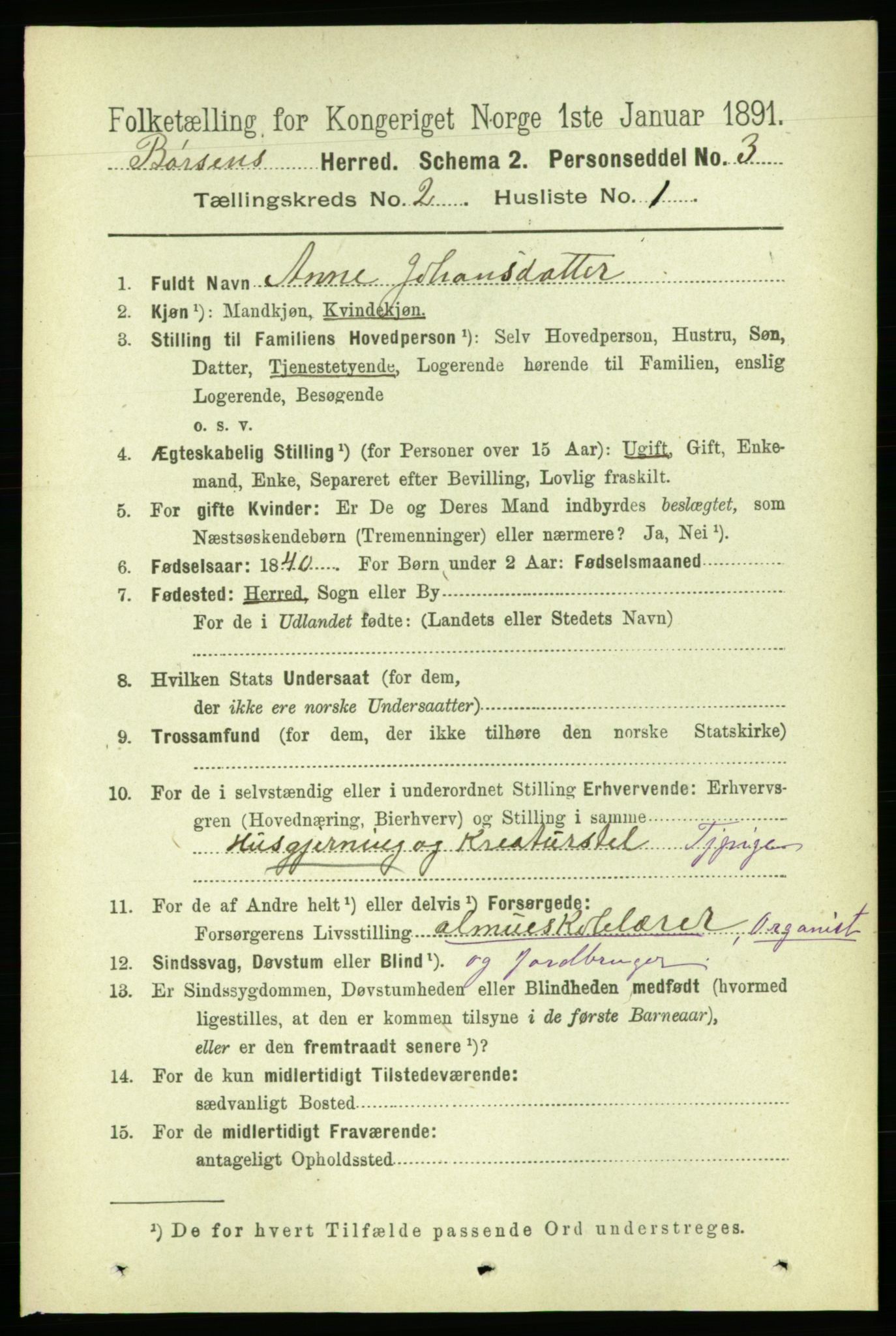 RA, 1891 census for 1658 Børsa, 1891, p. 513