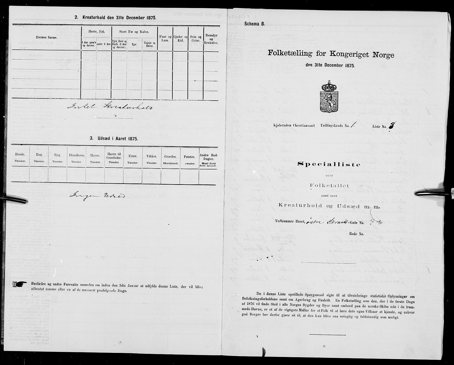 SAK, 1875 census for 1001P Kristiansand, 1875, p. 20