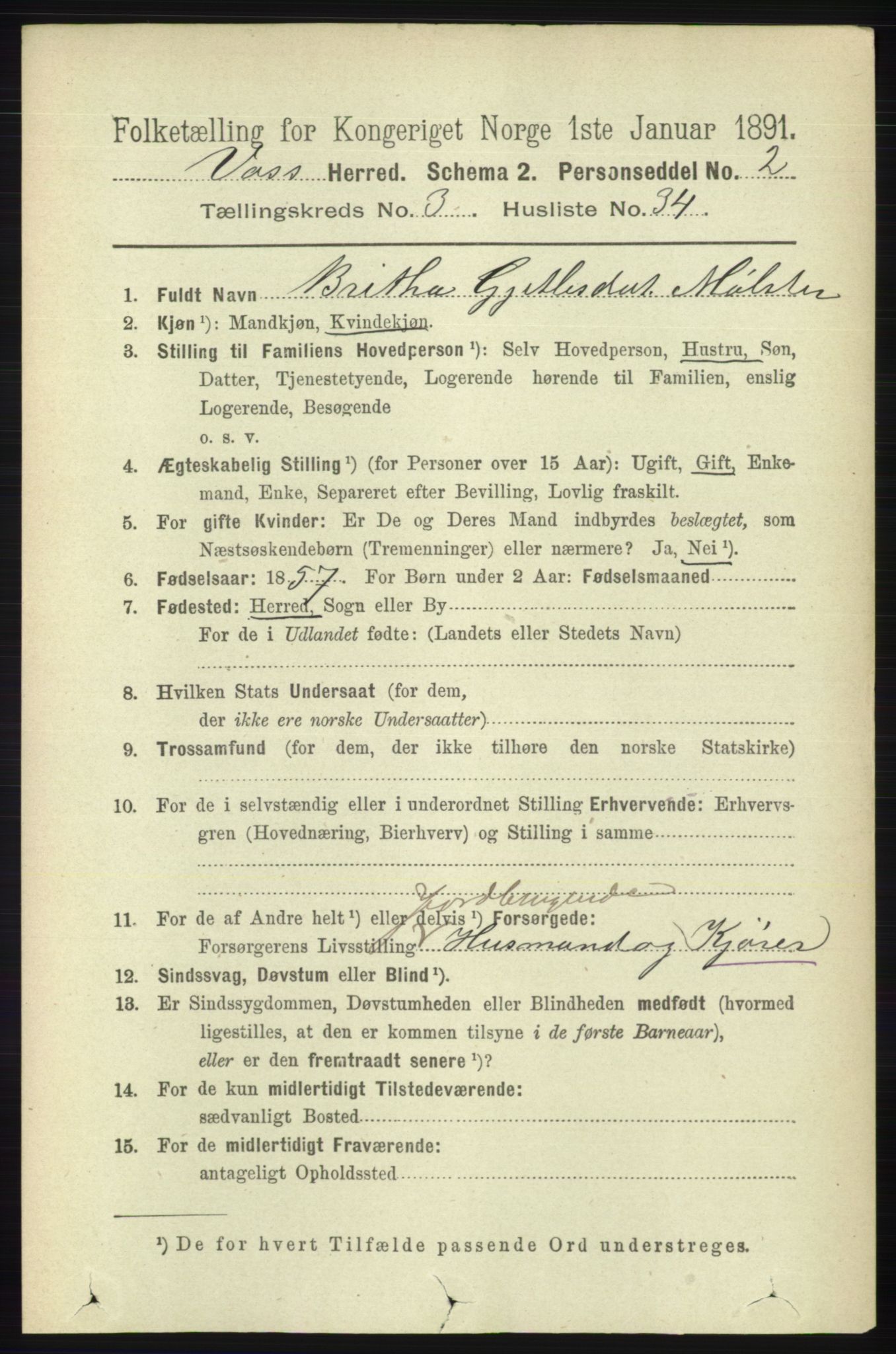 RA, 1891 census for 1235 Voss, 1891, p. 1391